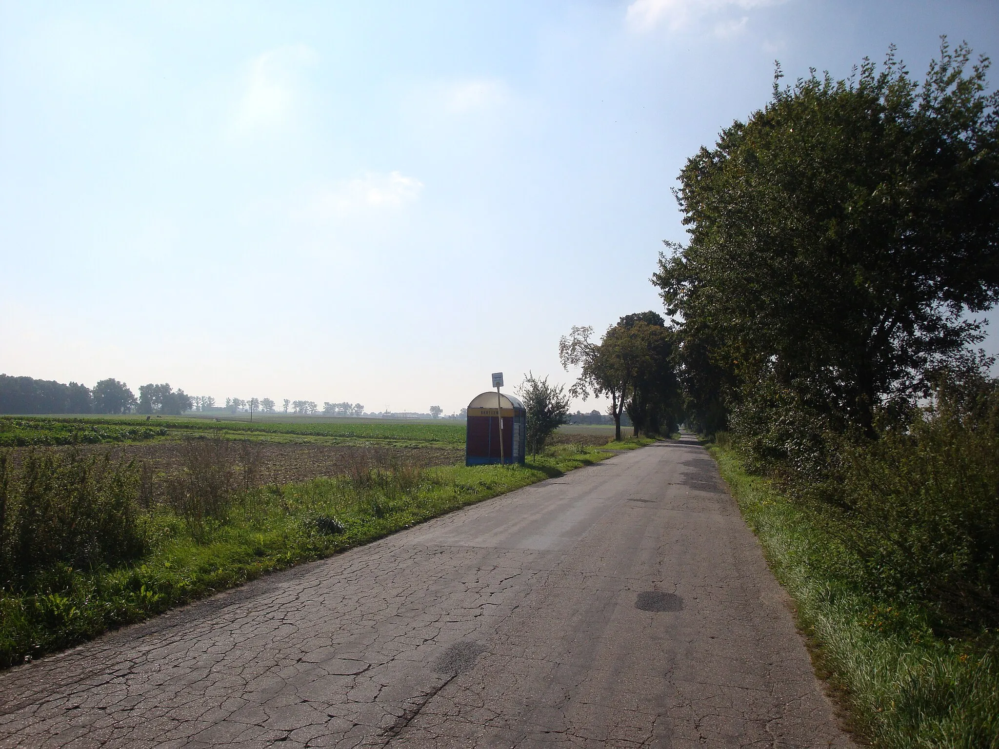 Photo showing: Bus stop in Bartlewo, Kuyavian-Pomeranian Voivodeship, Poland
