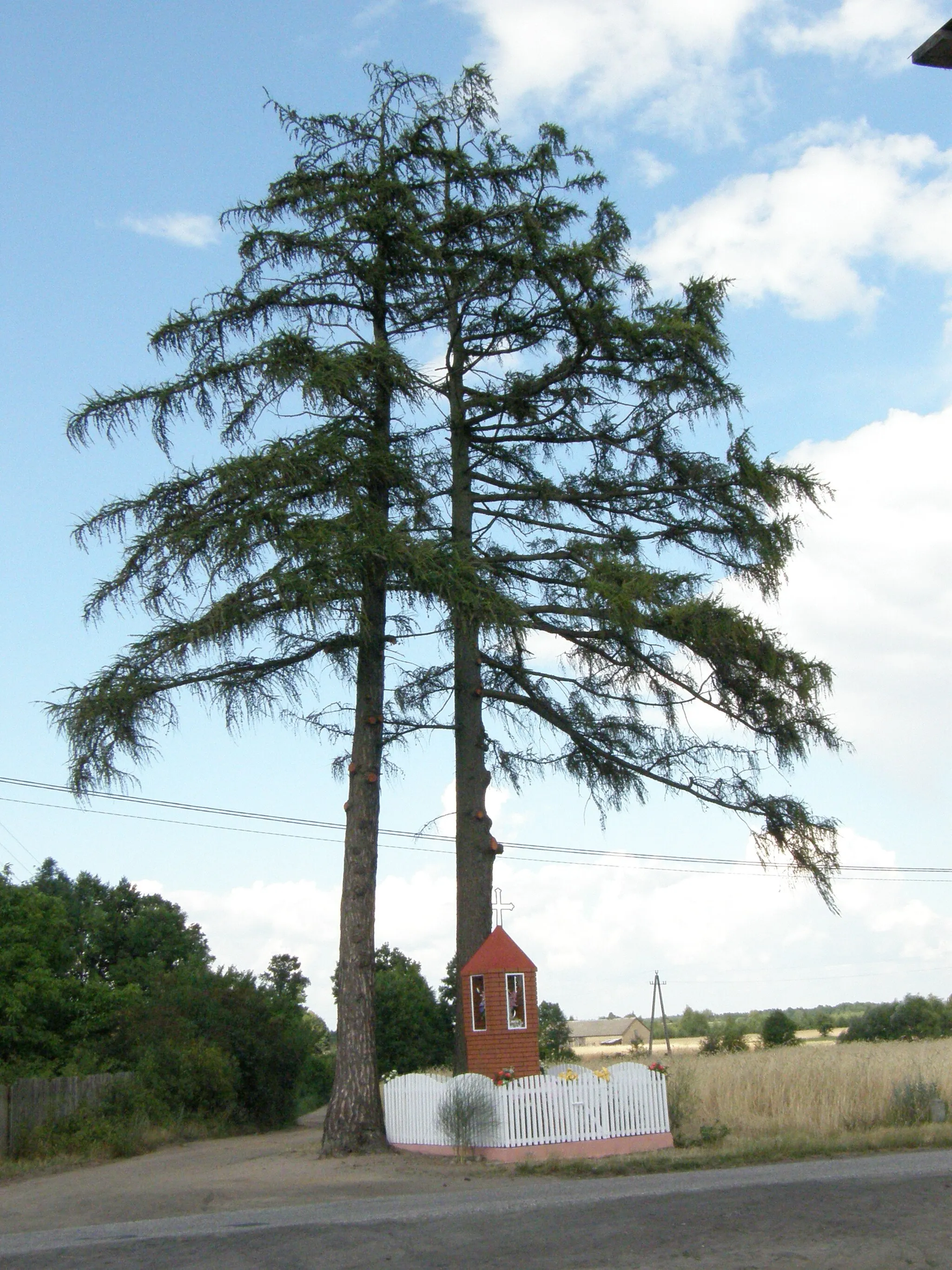 Photo showing: Kosiory - kapliczka