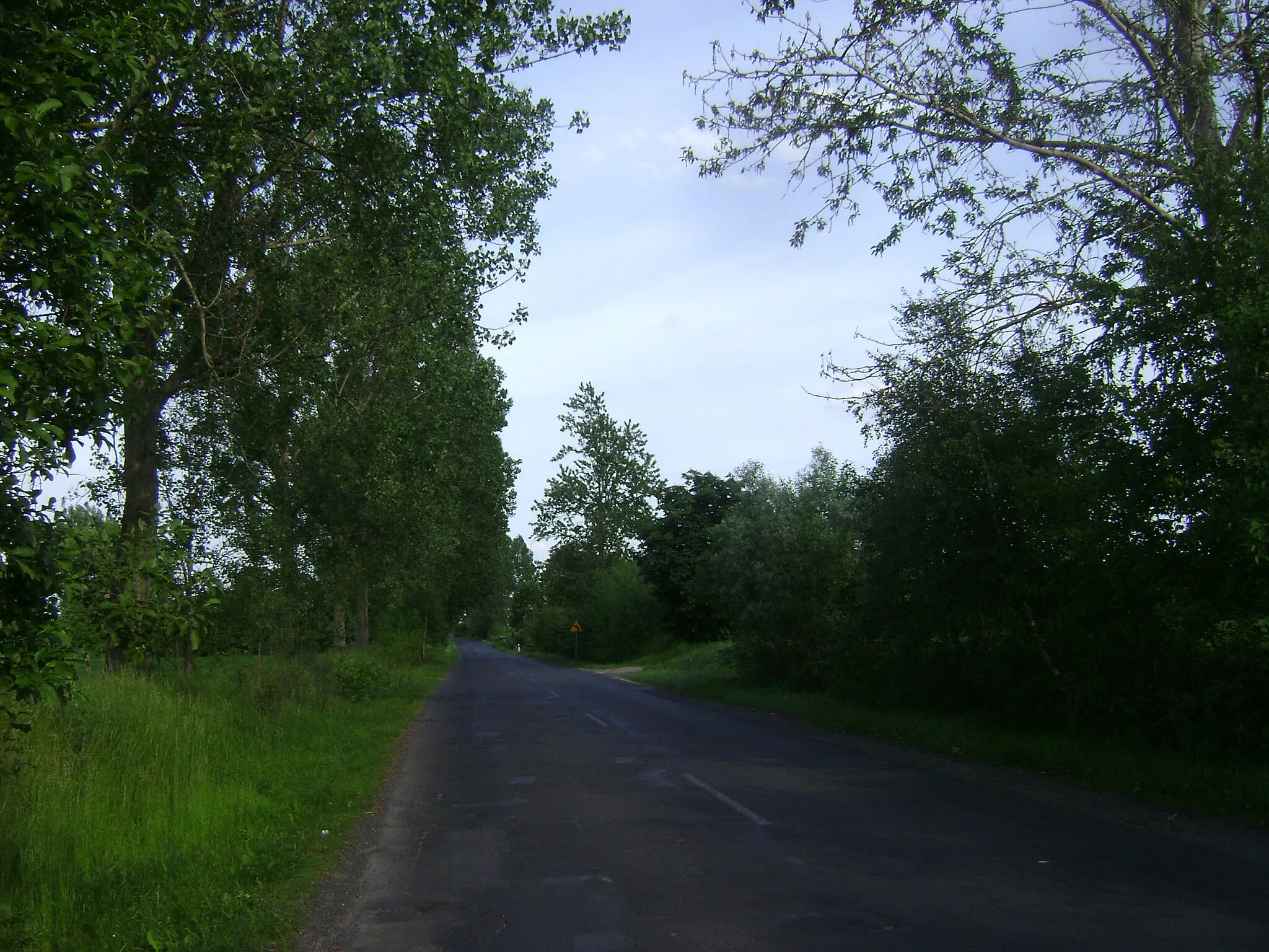 Photo showing: Poland. Gmina Lipno. Rumunki Głodowskie Village