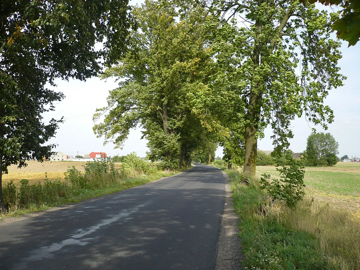 Photo showing: Droga nr 538 przebiegająca przez Jasiewo w kierunku Łasina.