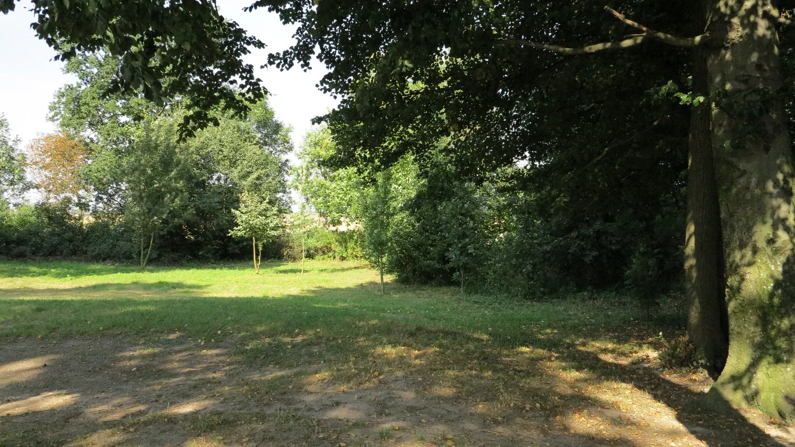 Photo showing: Jasiewo - park dworski
