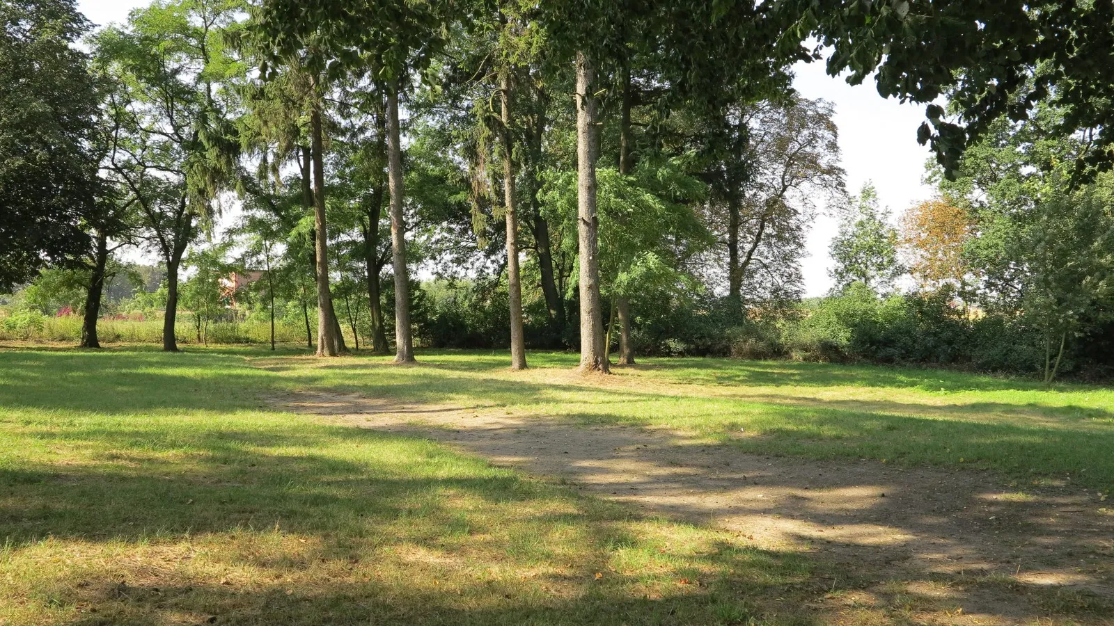 Photo showing: Jasiewo - park dworski