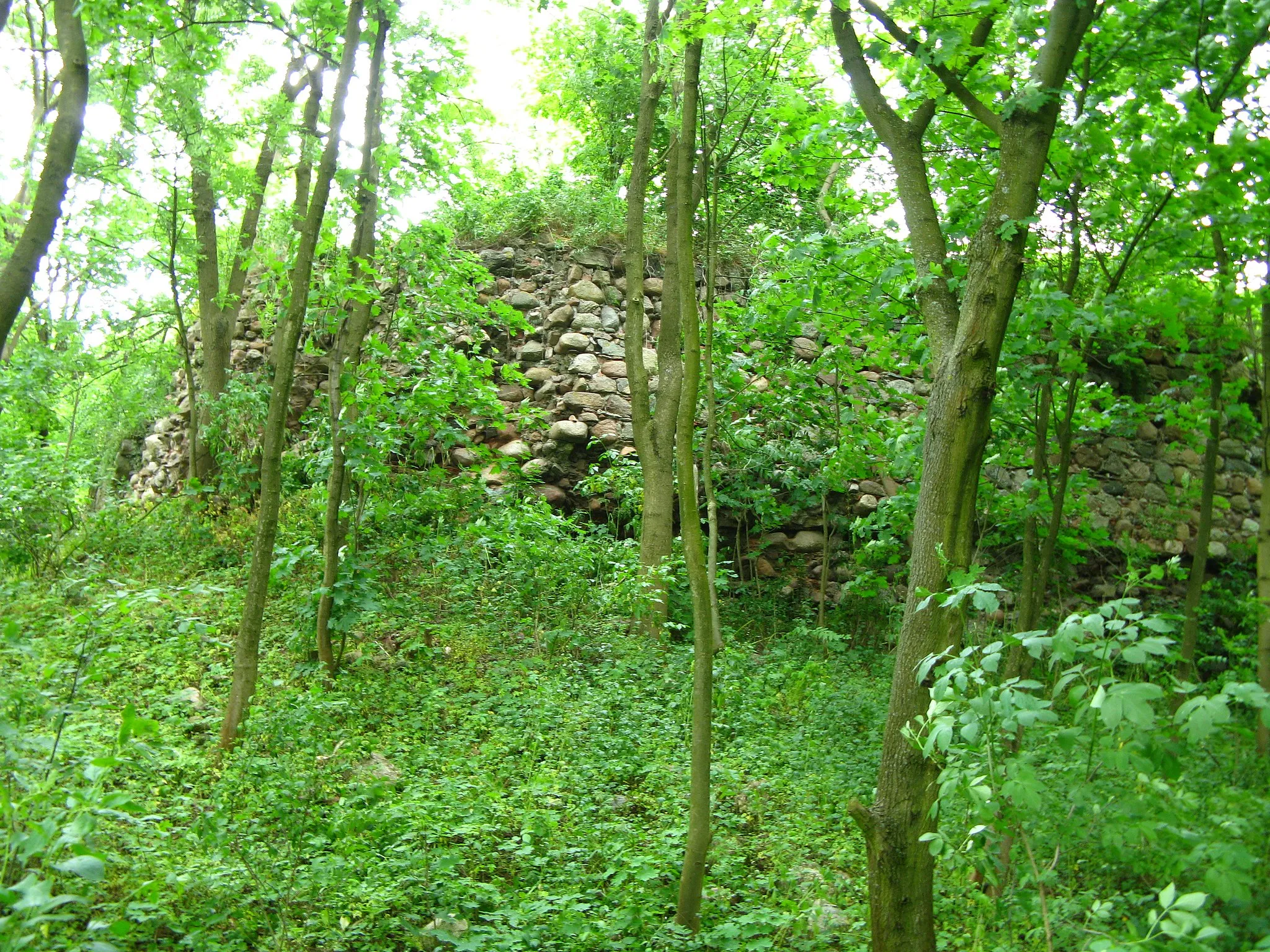 Photo showing: Ruin of castle in Lipienek