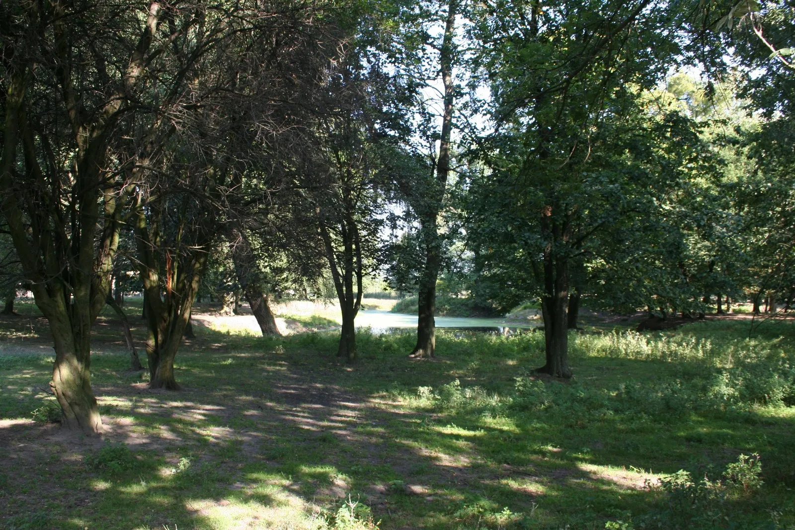 Photo showing: This is a photo of a monument in Poland identified in WLM database by the ID