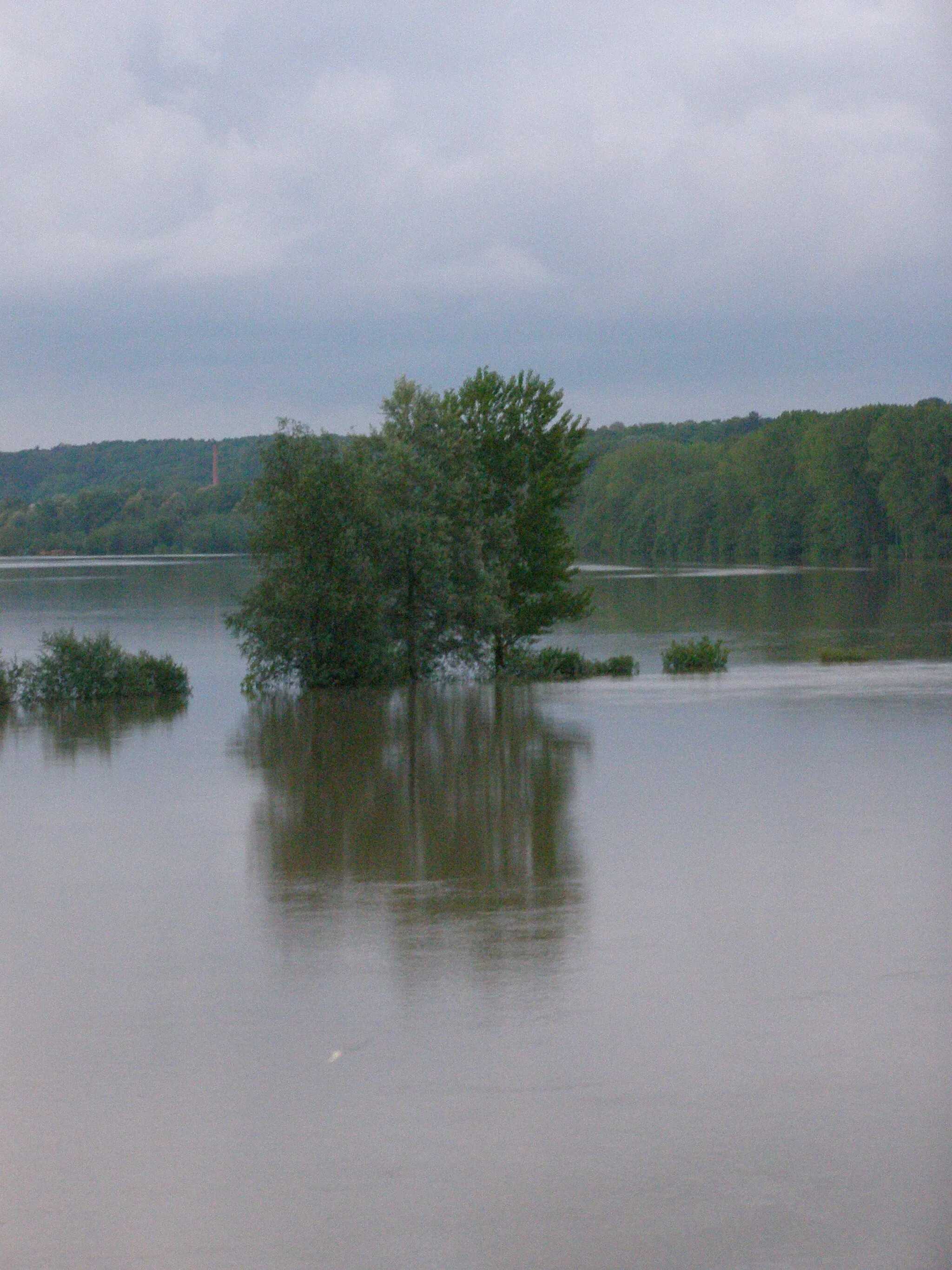 Photo showing: Rozlewisko Wisły w Strzyżawie w maju 2010