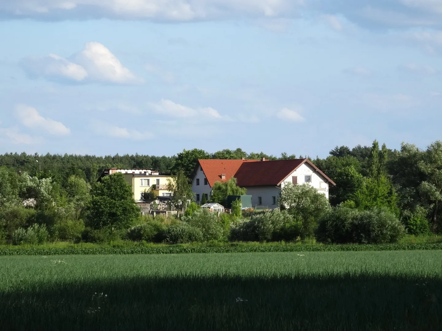 Photo showing: Strzyżawa, gmina Dąbrowa Chełmińska, powiat bydgoski