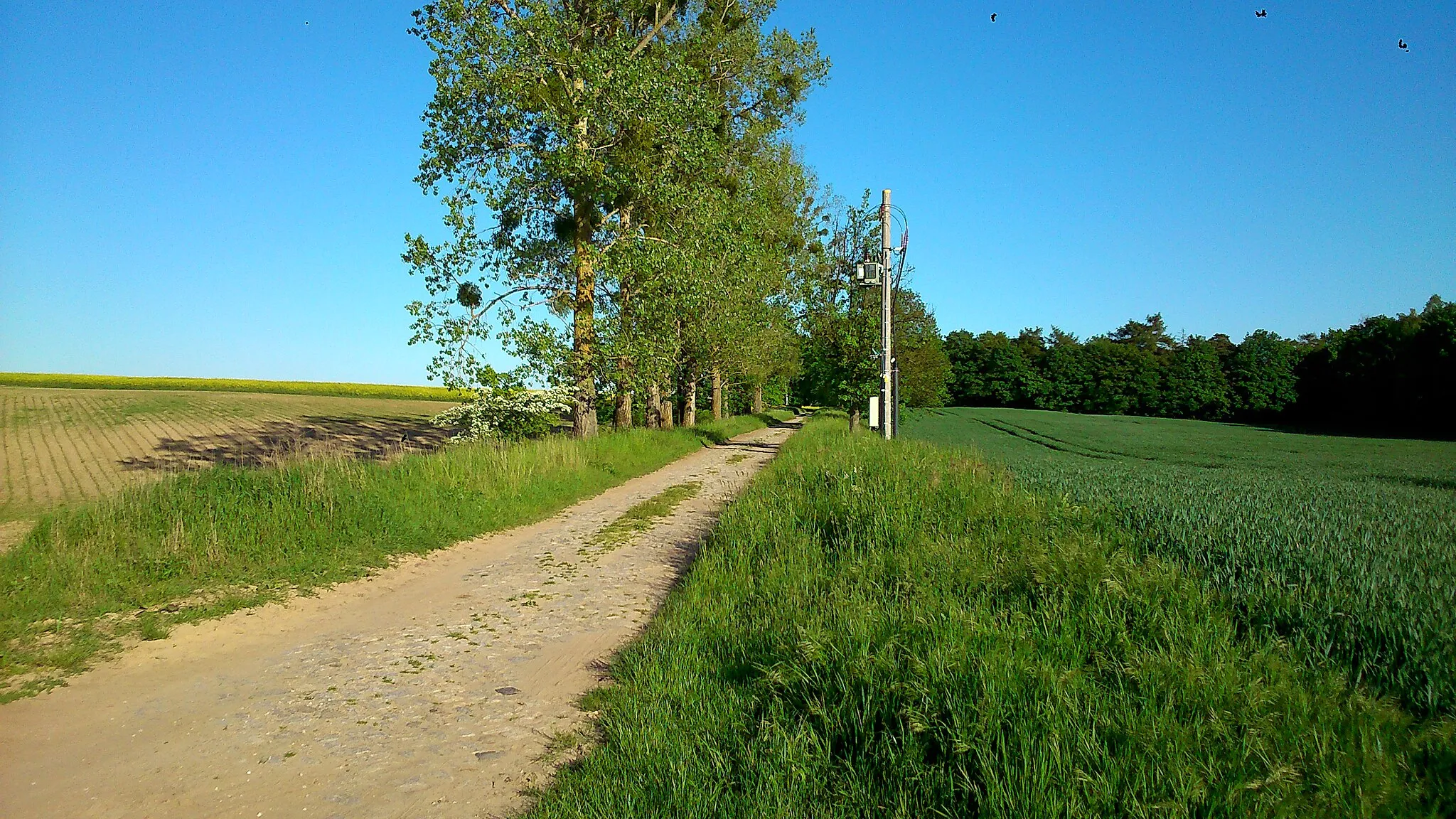 Photo showing: Węgrowo- village in Kuyavian-Pomoeranian Voivodeship, Poland