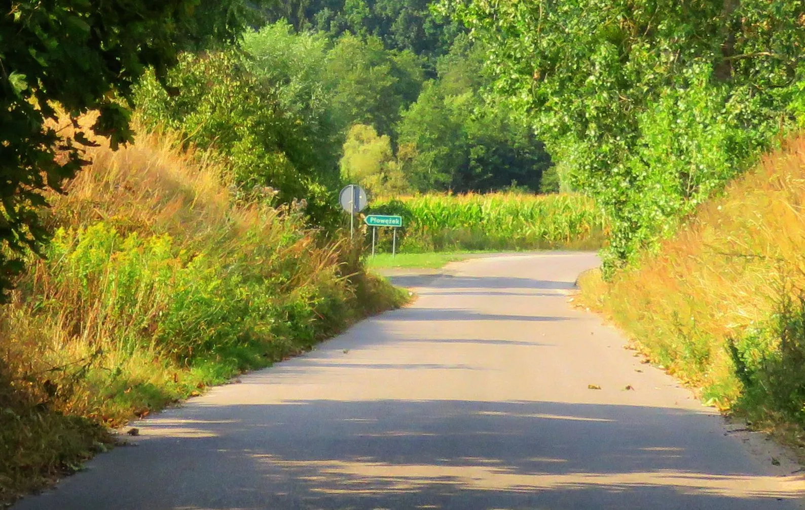 Photo showing: Płowężek, gmina Jabłonowo Pomorskie