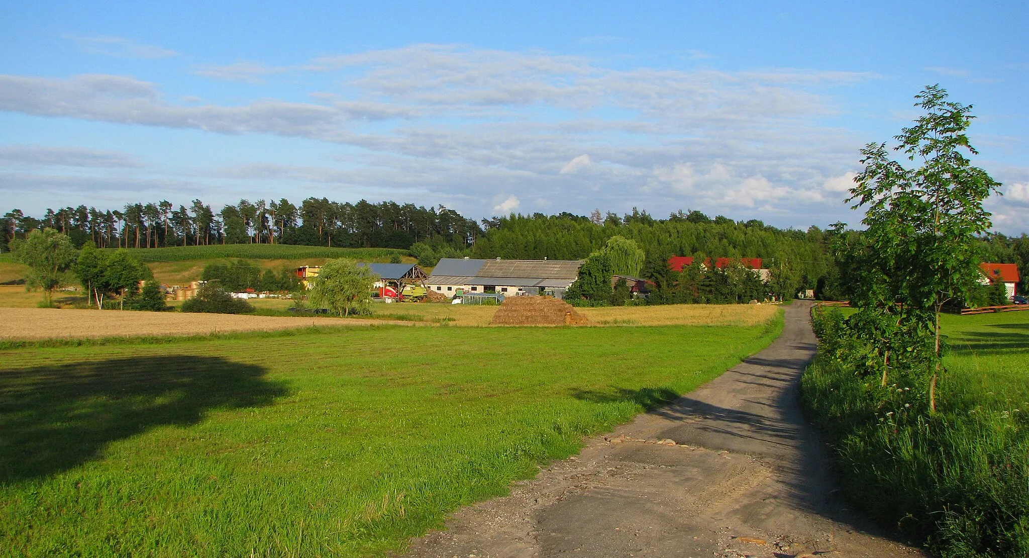 Photo showing: Podbrodnica, część wsi Ciche, gmina Zbiczno