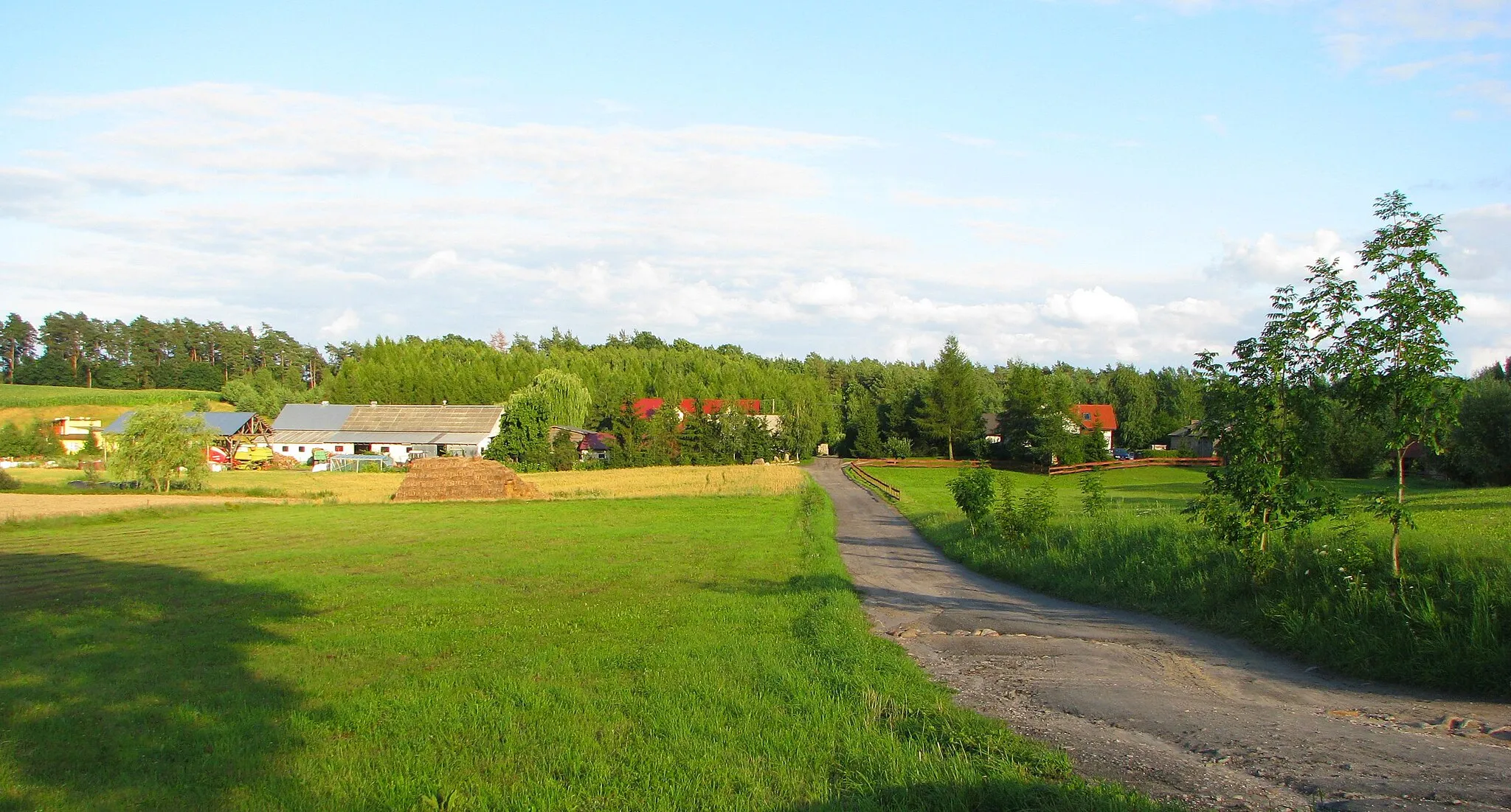 Photo showing: Podbrodnica, część wsi Ciche, gmina Zbiczno