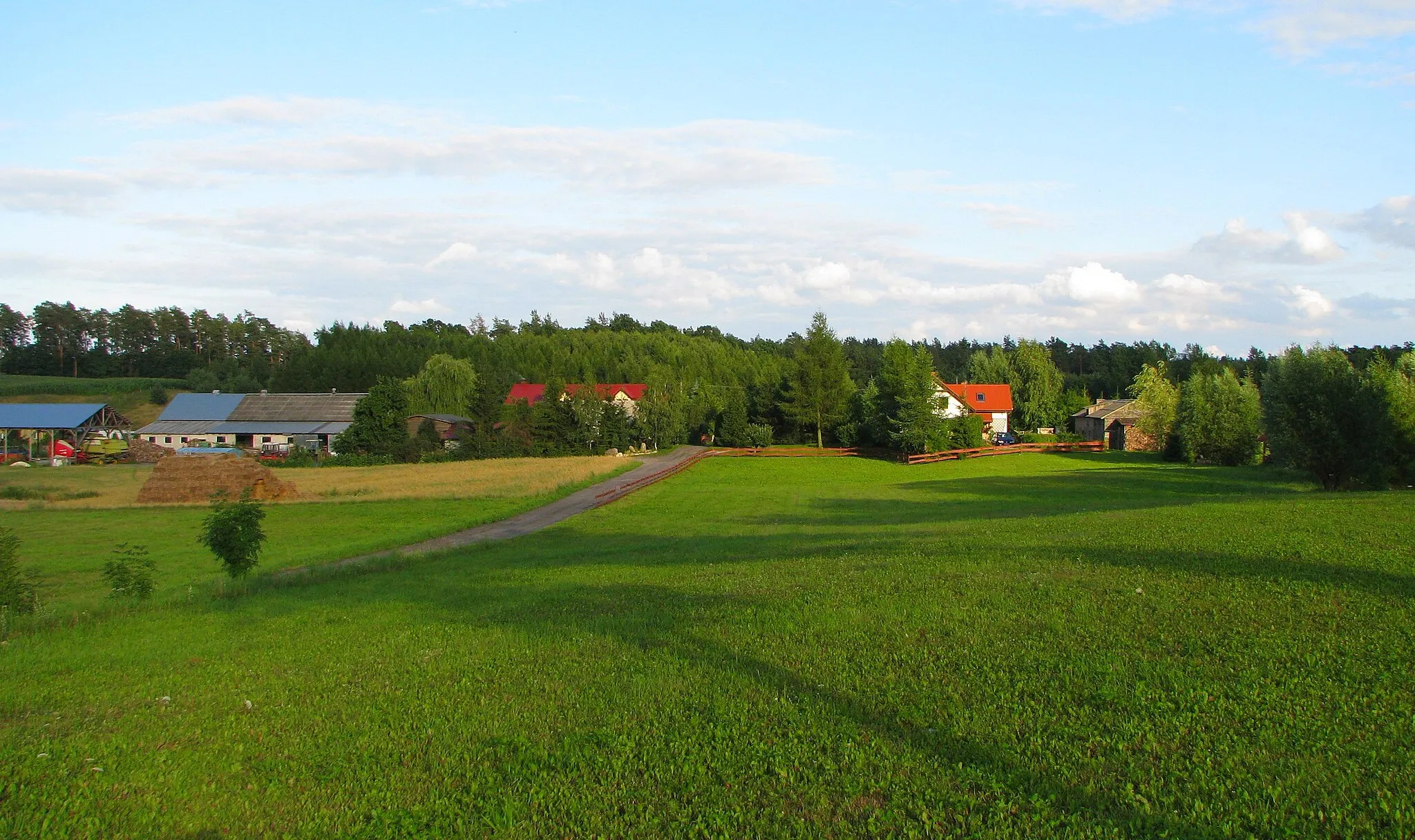 Photo showing: Podbrodnica, część wsi Ciche, gmina Zbiczno