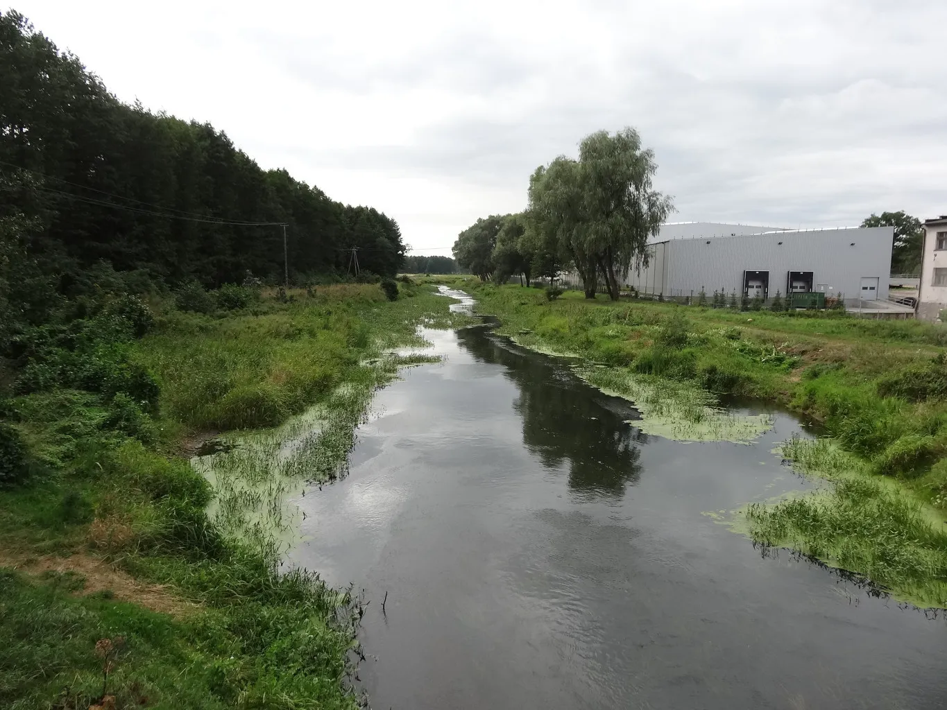 Photo showing: Rzeka Noteć w Turze, gmina Szubin, województwo kujawsko-pomorskie