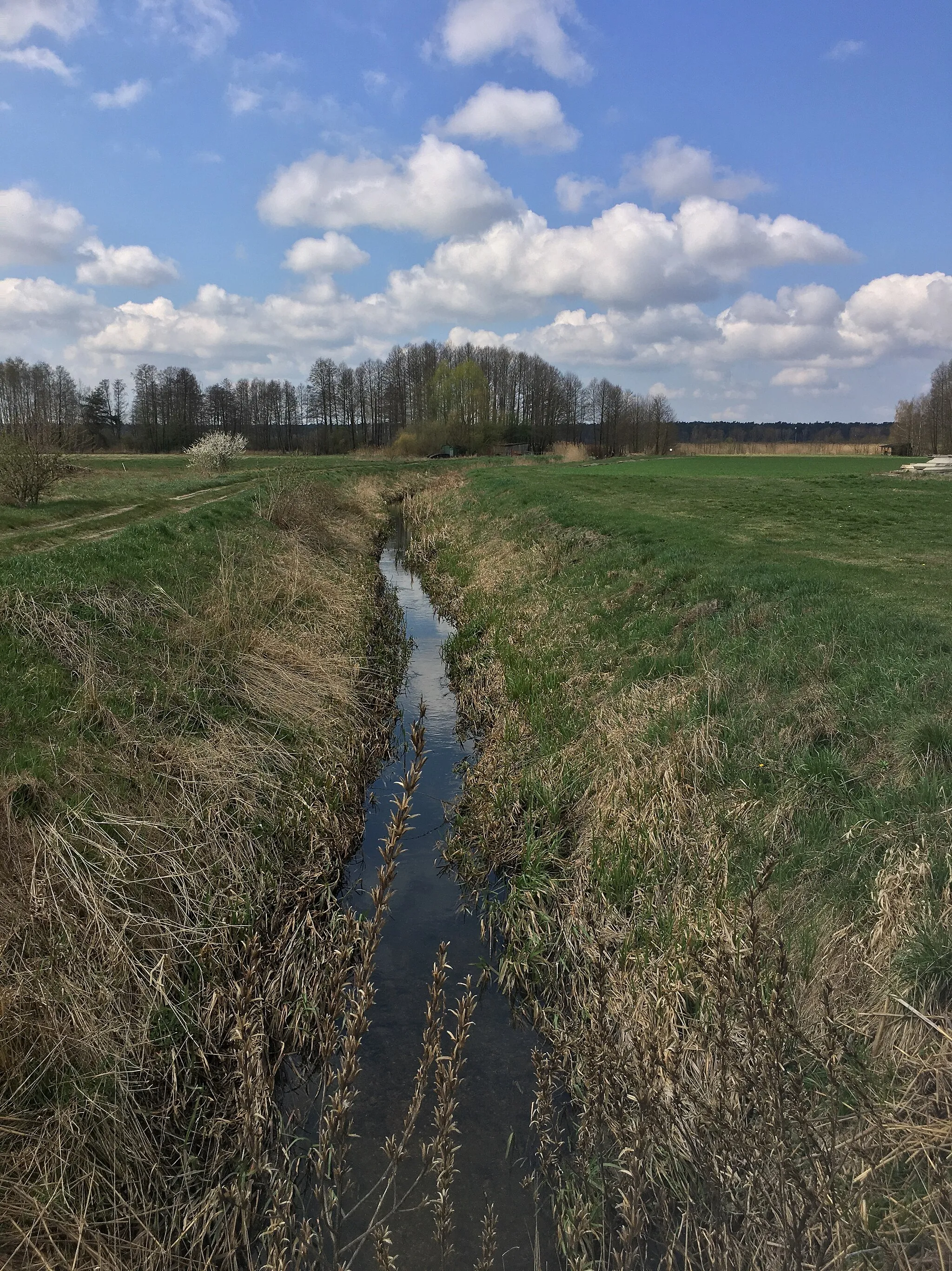 Photo showing: Urszulewka river in in Słupia, Szczutowo commune, Masovian voivodeship, Poland