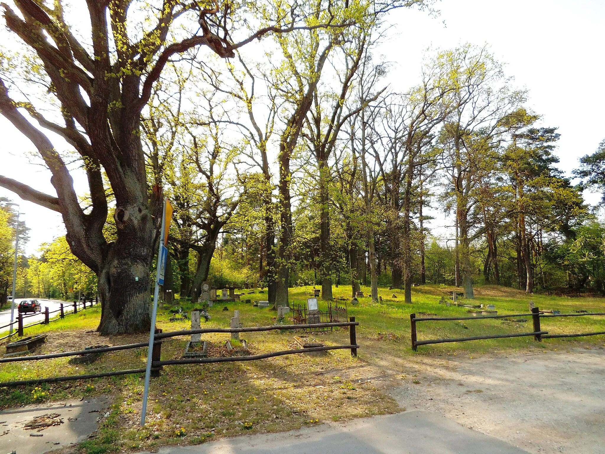 Photo showing: Cmentarz na Rudaku w Toruniu, 2020