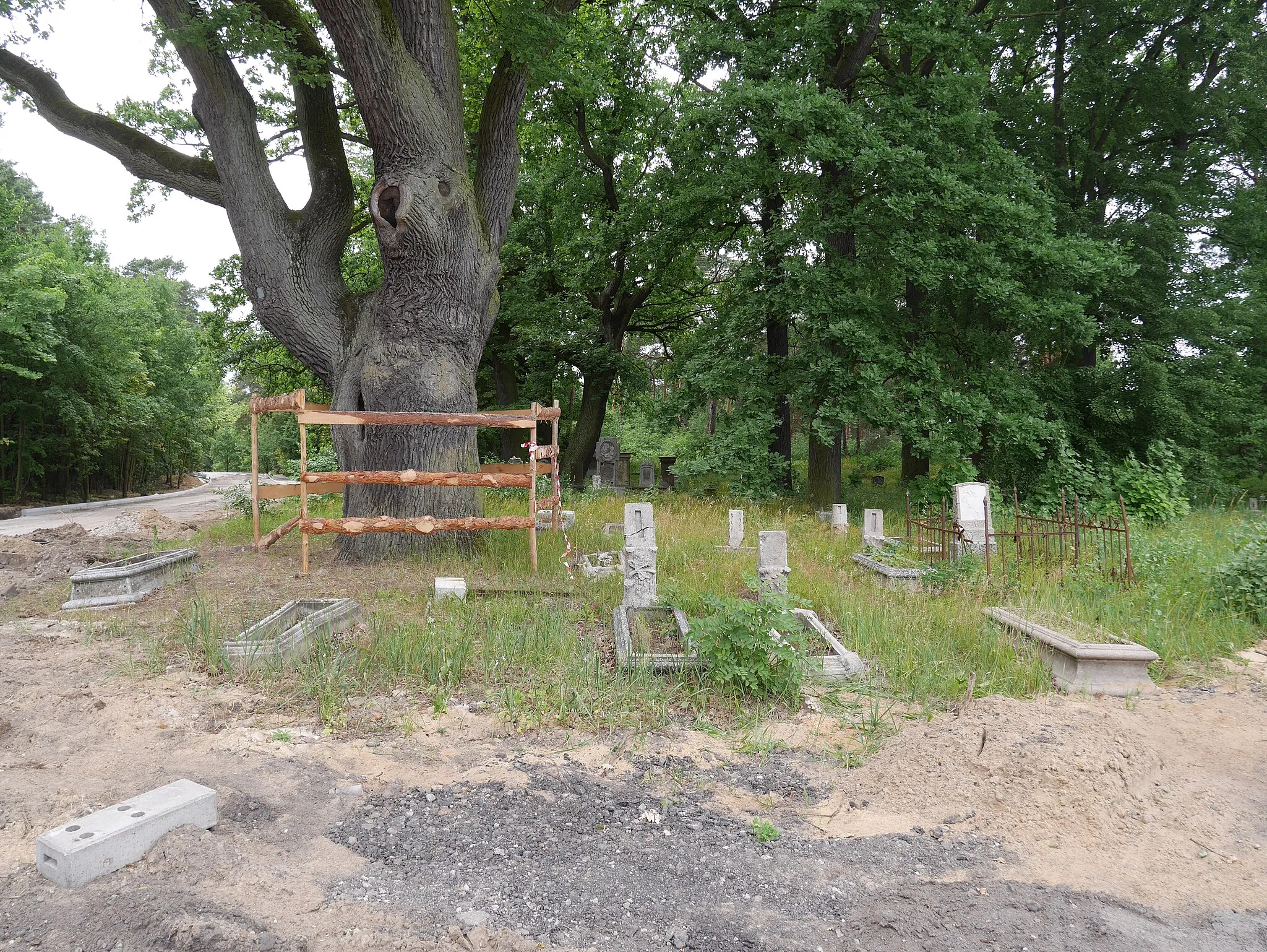 Photo showing: Cmentarz mennicko-ewangelicki w Rudaku