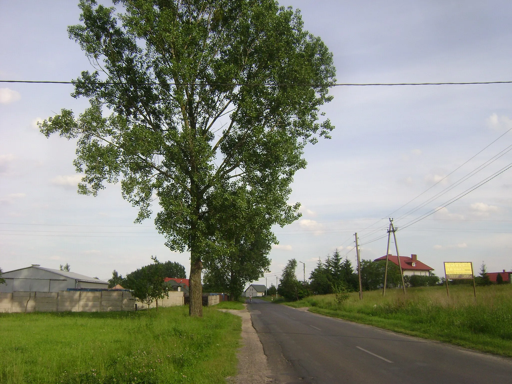 Photo showing: Poland. Gmina Lipno. Rumunki Podgłodowskie Village