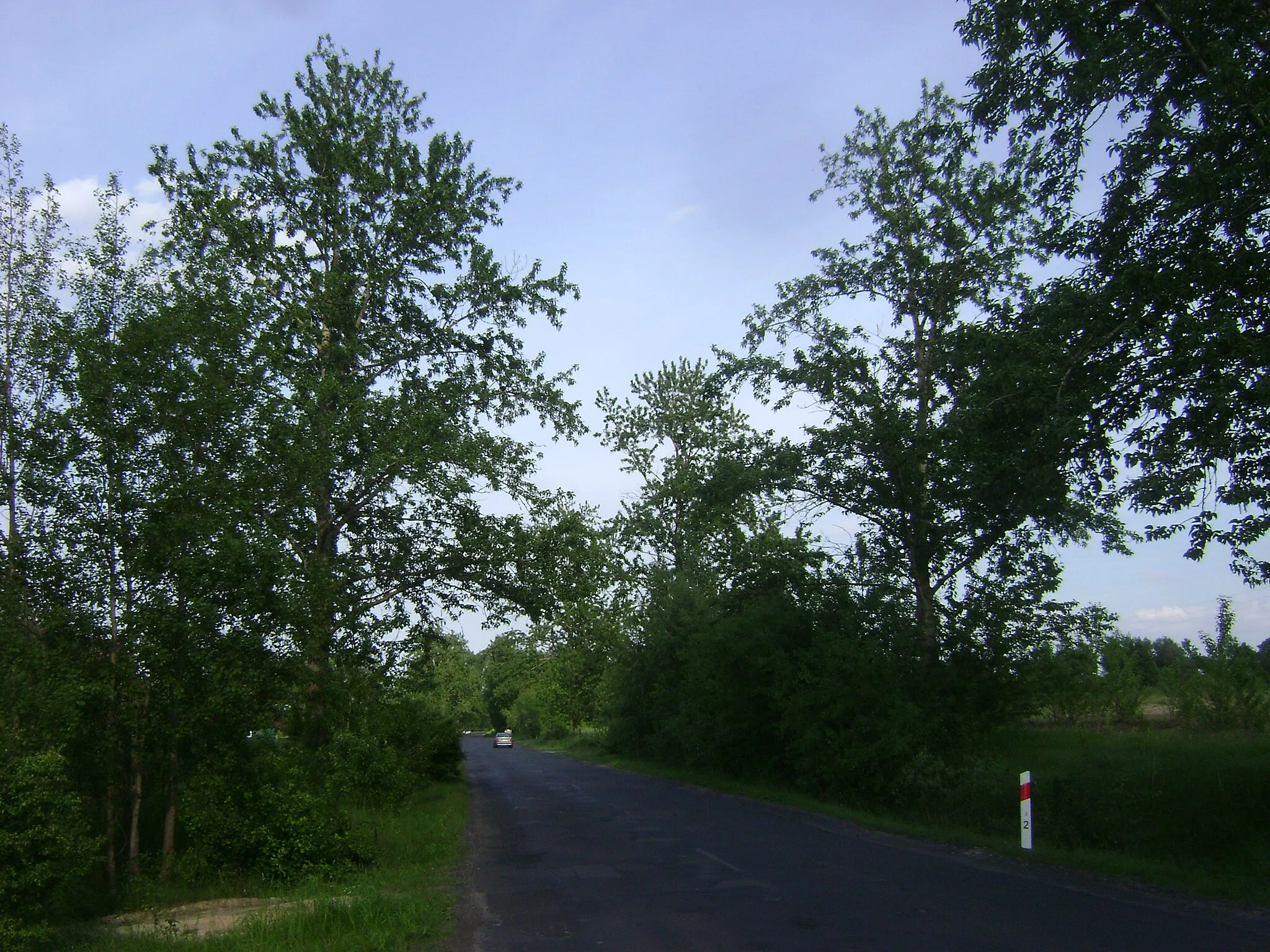 Photo showing: Poland. Gmina Lipno. Rumunki Podgłodowskie Village