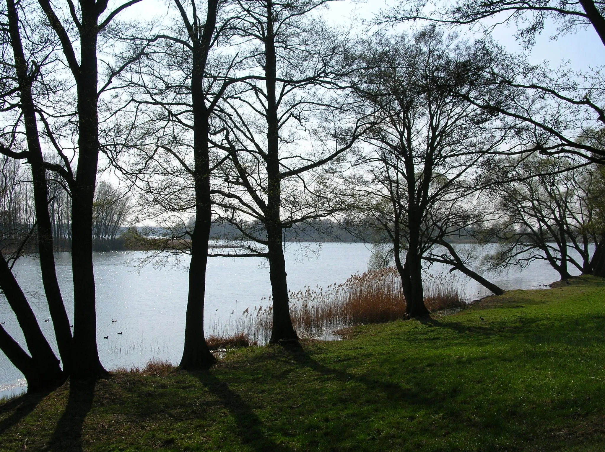 Photo showing: Rogowskie Lake