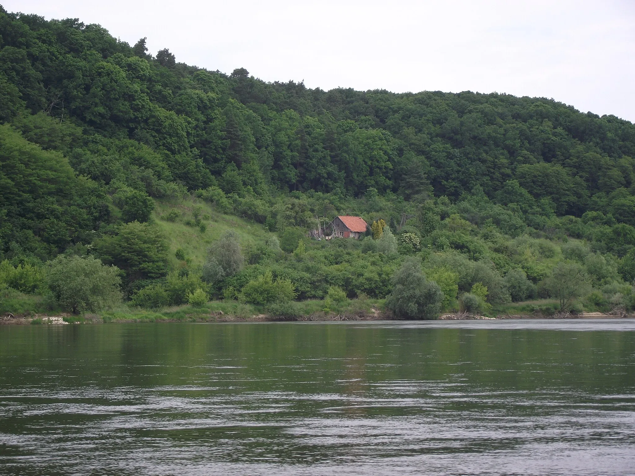 Photo showing: Widlice Dębowy Las - Brzeg Wisły