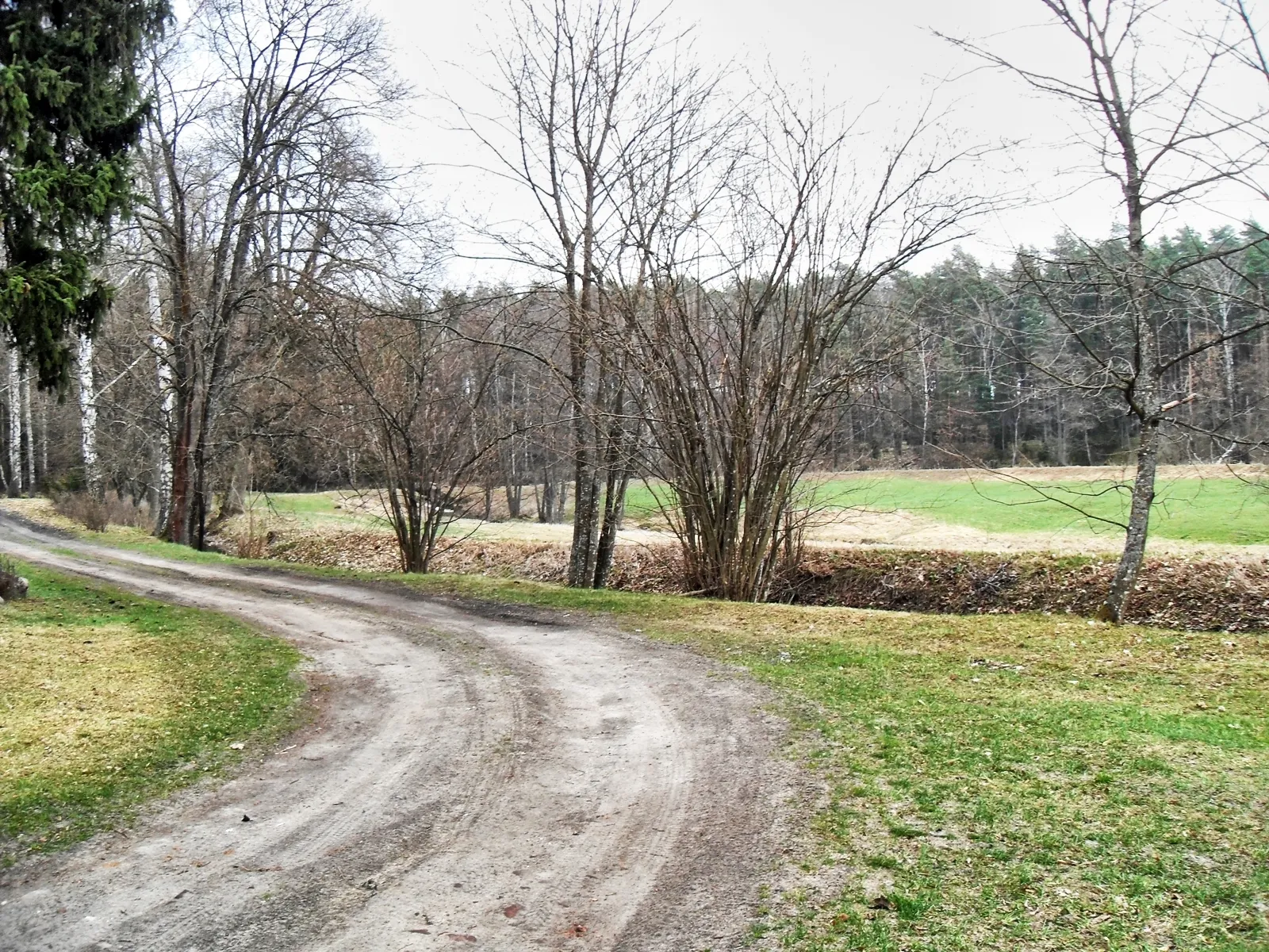 Photo showing: The only access road