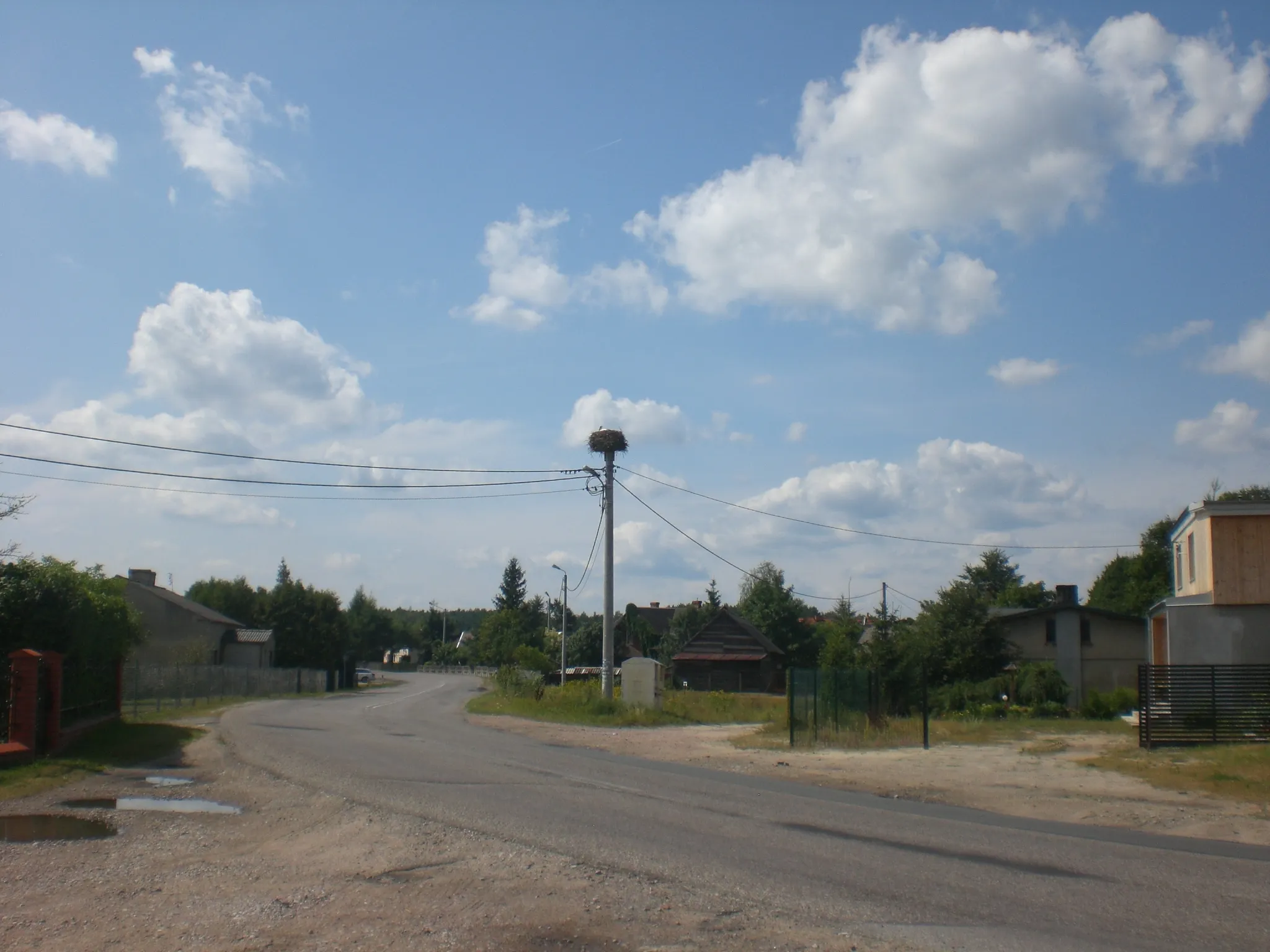 Photo showing: Głuche - ciconia ciconia nest by Voivodeship road 214