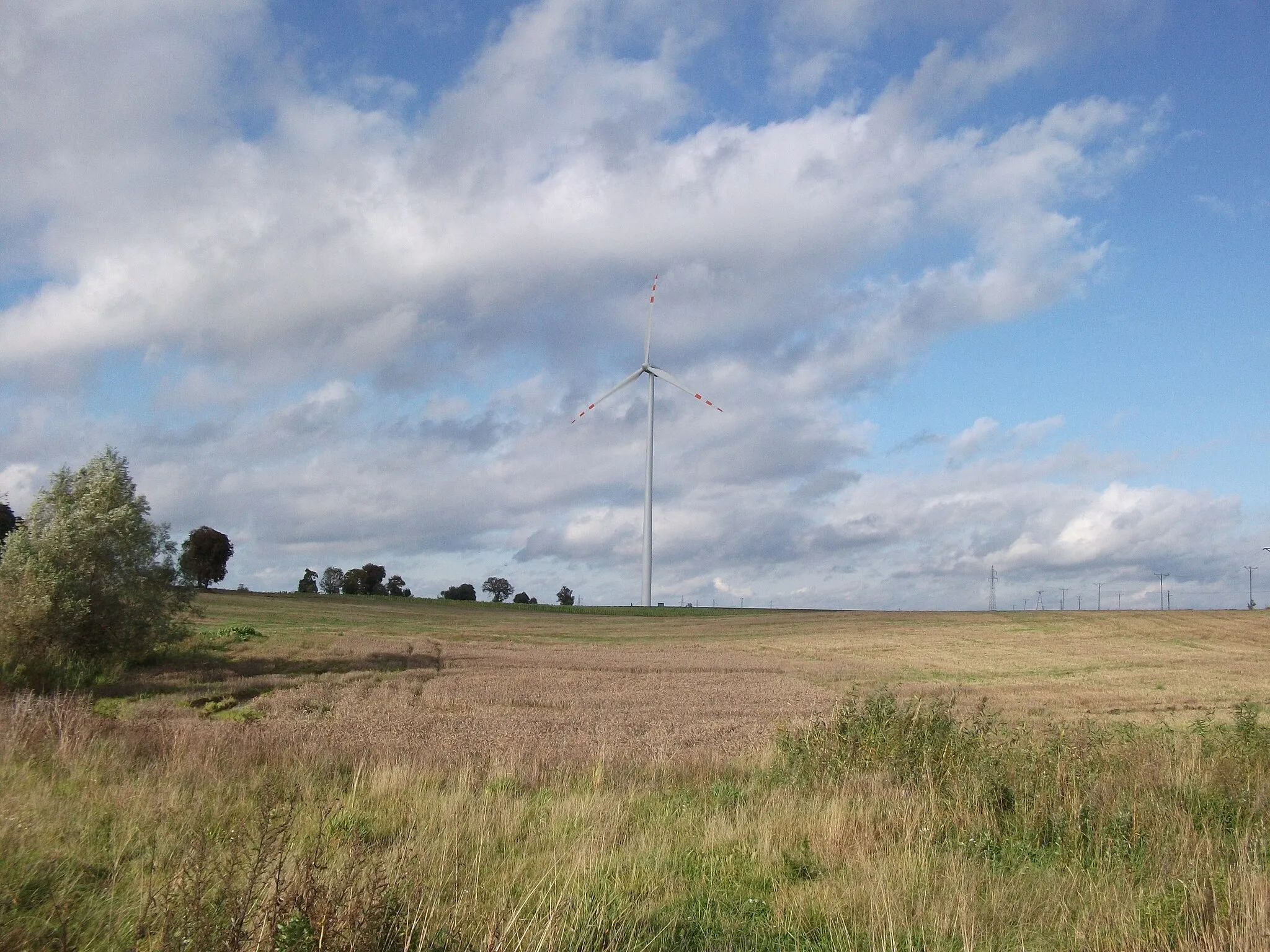 Photo showing: Elektrownia wiatrowa w Szczepankach koło Łasina