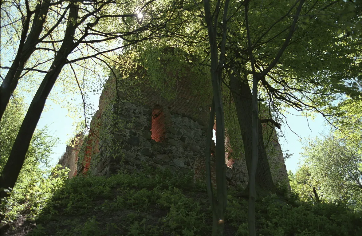 Photo showing: Poland, Nowy Jasiniec Castle