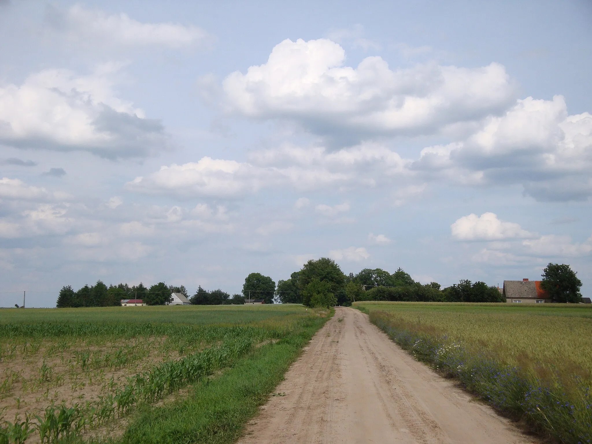 Photo showing: Sierosławek- village in Kuyavian-Pomeranian Voivodeship, Poland. View from West