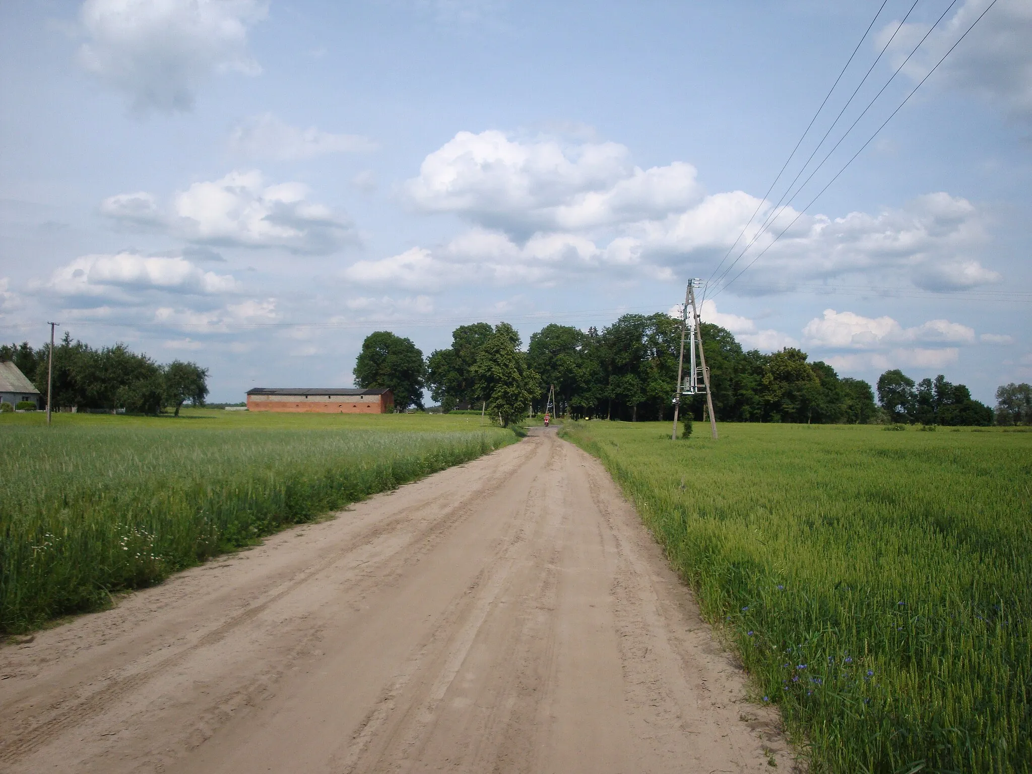 Photo showing: Sierosławek- village in Kuyavian-Pomeranian Voivodeship, Poland. View from West