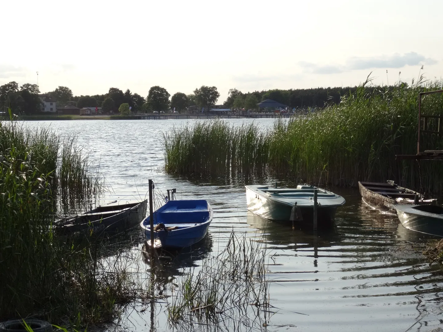 Photo showing: Prądocin - brzeg jeziora Jezuickiego, gmina Nowa Wieś Wielka, powiat bydgoski