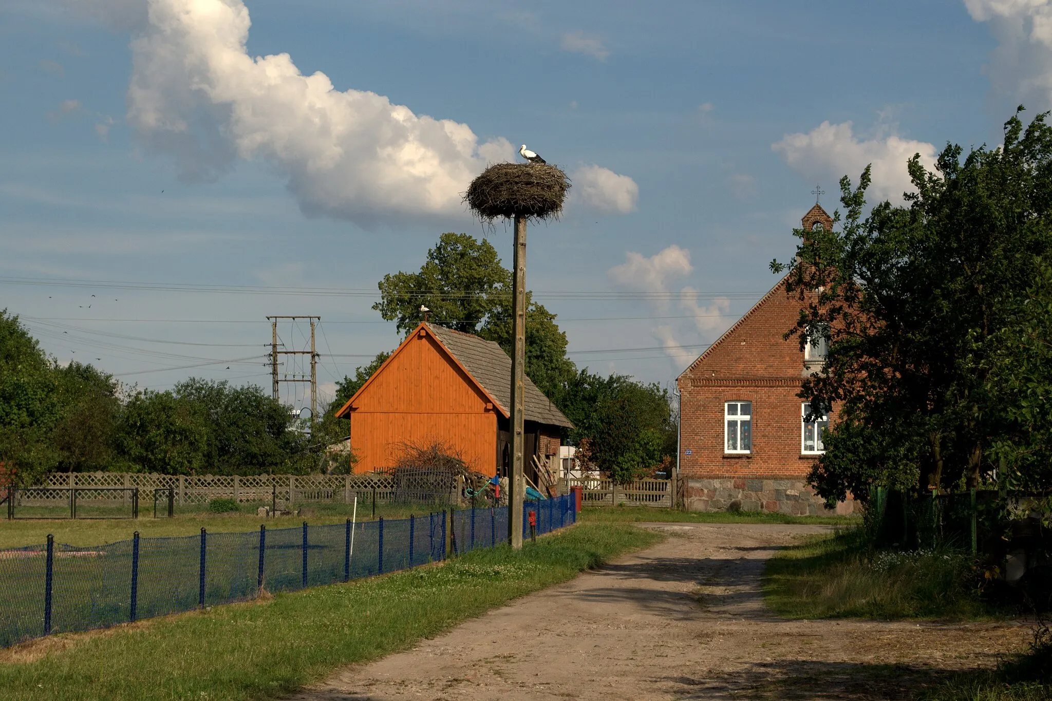 Photo showing: Stork nest in Obkas, kuyavian-pomeranian voivodeship, Poland