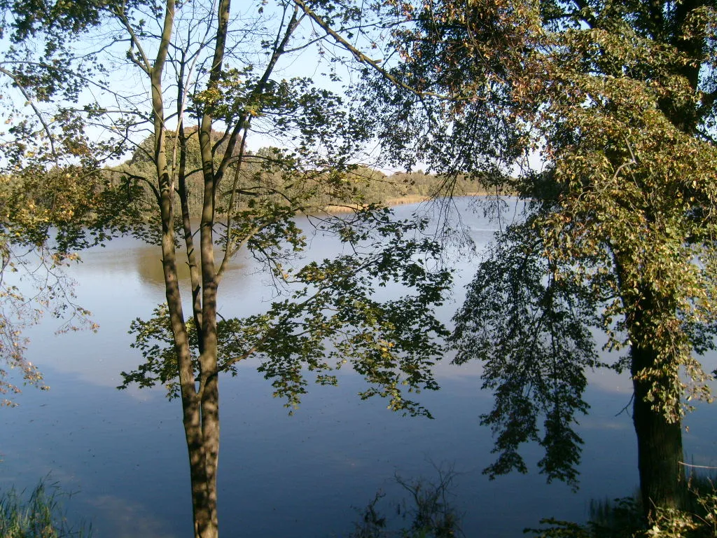 Photo showing: The lake in Nowy Jasiniec (Poland), called Castle Lake.
