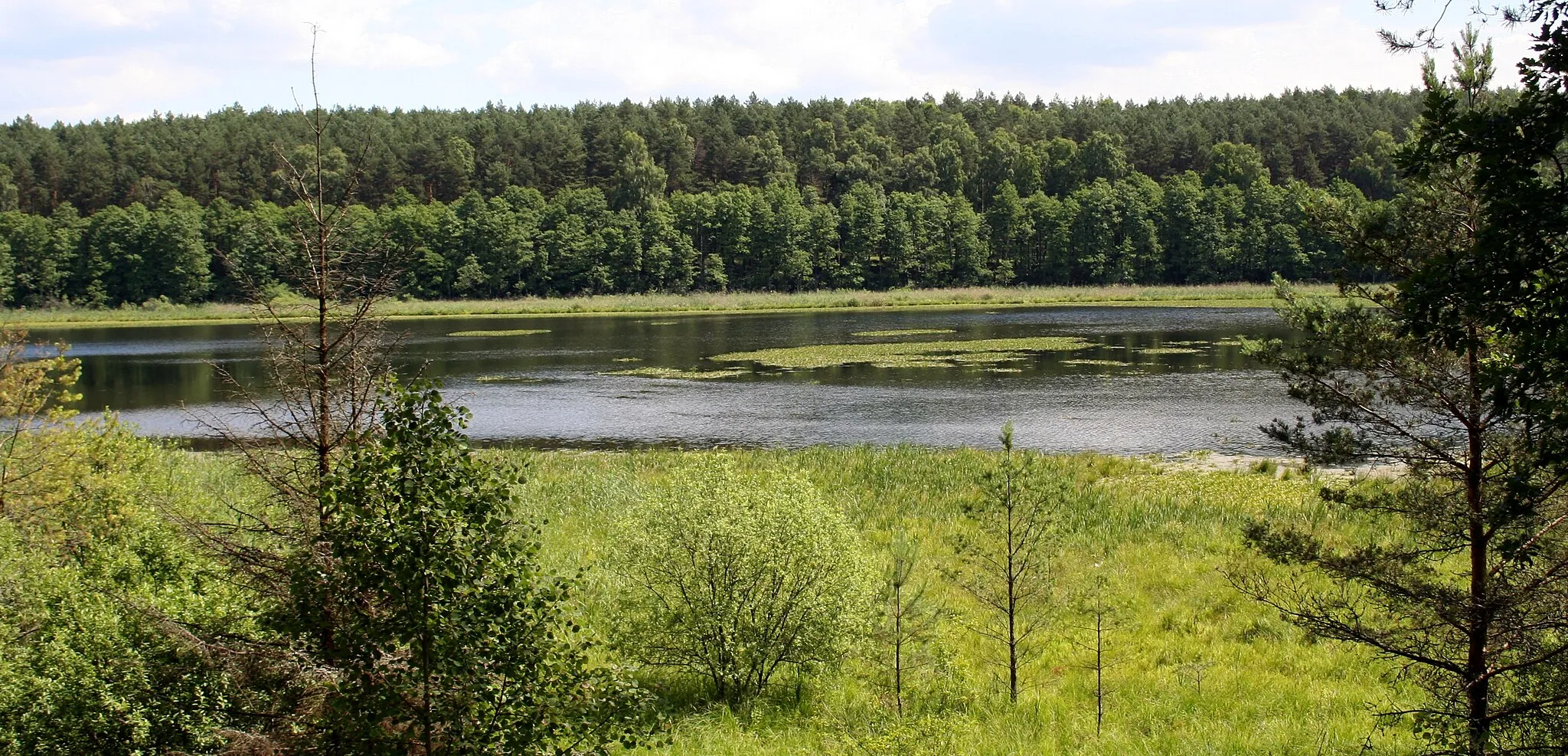 Photo showing: Fragment rezerwatu przyrody Miedzno (Wdecki Park Krajobrazowy), w tle jezioro Miedzno