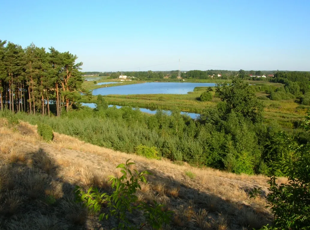 Photo showing: Dolina Łęgnowska. Widok z wydmy śródlądowej na nizinę w okolicy Makowisk