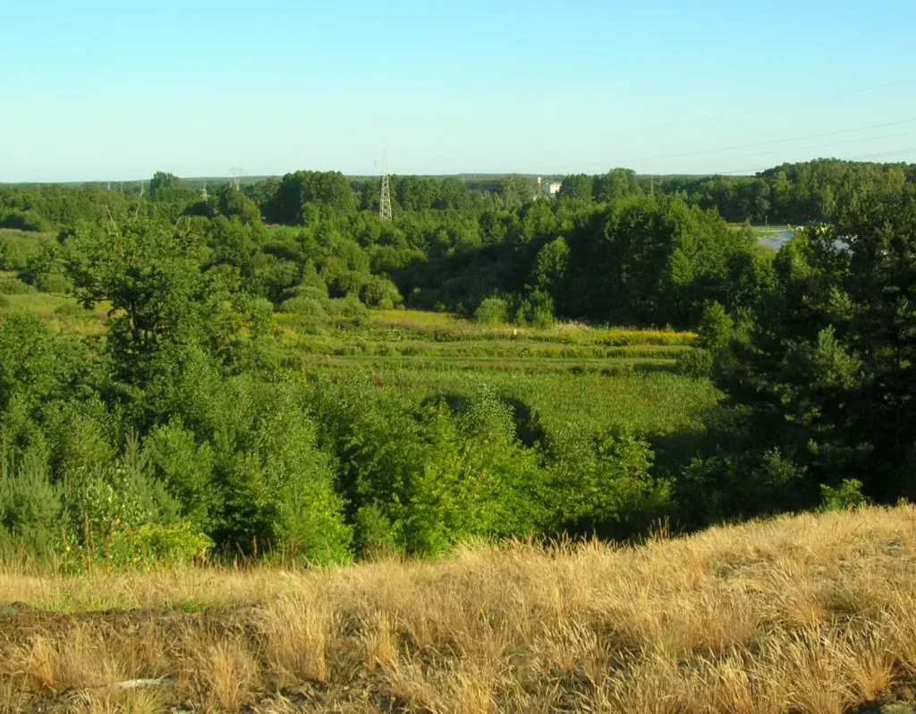 Photo showing: Dolina Łęgnowska. Widok z wydmy śródlądowej na nizinę w okolicy Makowisk