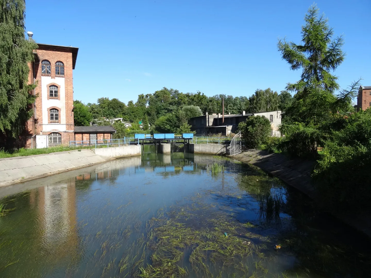 Photo showing: Rzeka Brda w Koronowie