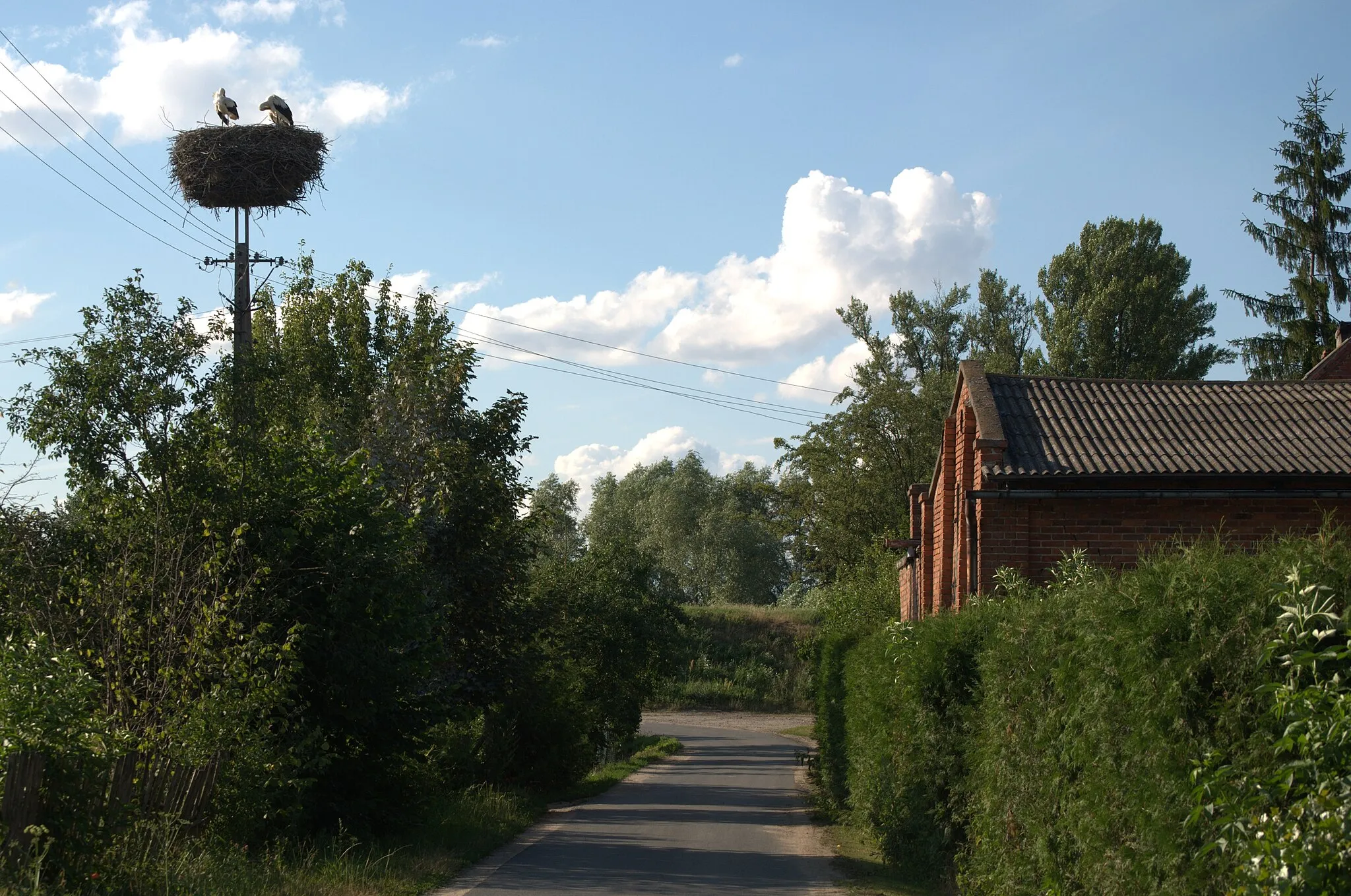 Photo showing: Gniazdo bociana białego w Dębowcu