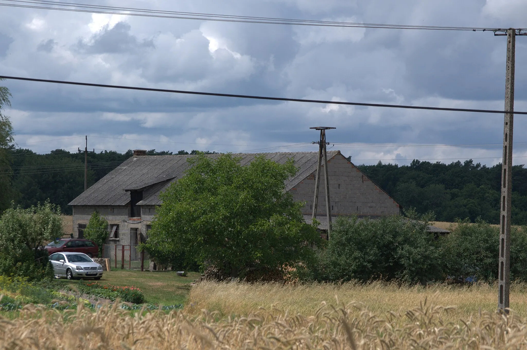 Photo showing: Gniazdo bociana białego w Dębinach (opuszczone), woj. kujawsko-pomorskie