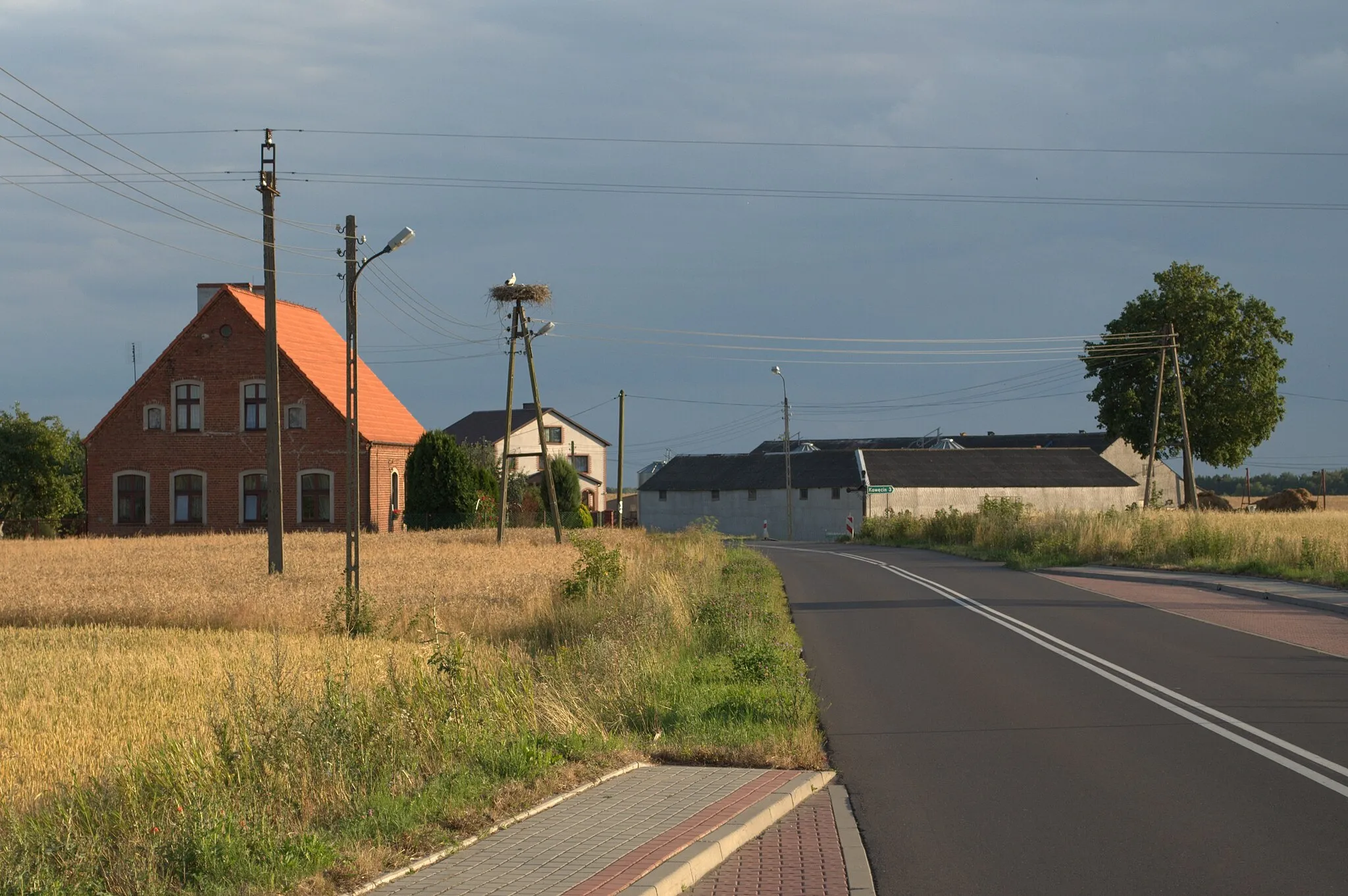 Photo showing: Gniazdo bociana białego w Dąbrówce, woj. kujawsko-pomorskie