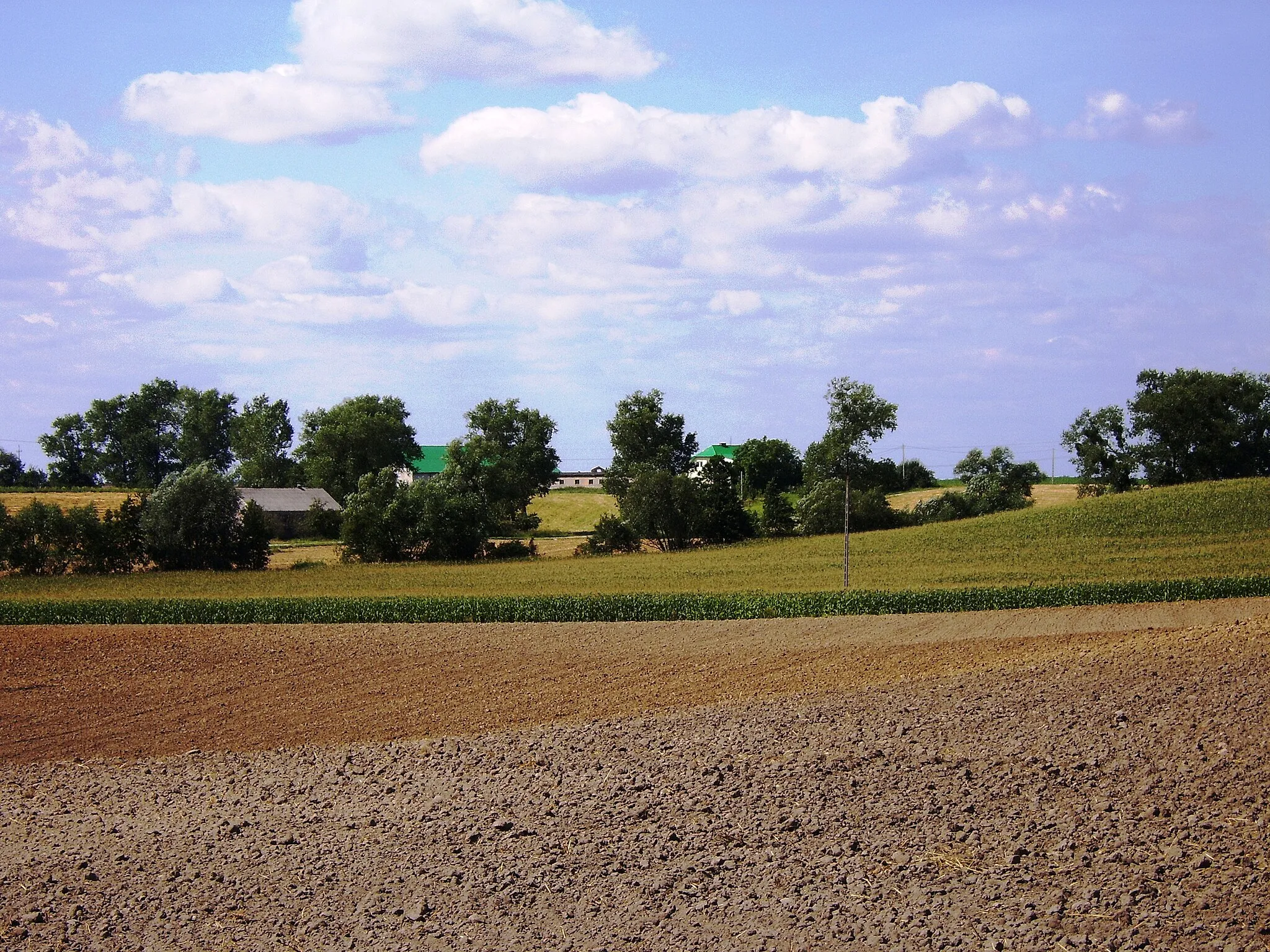 Photo showing: Image from the village Chełmonie