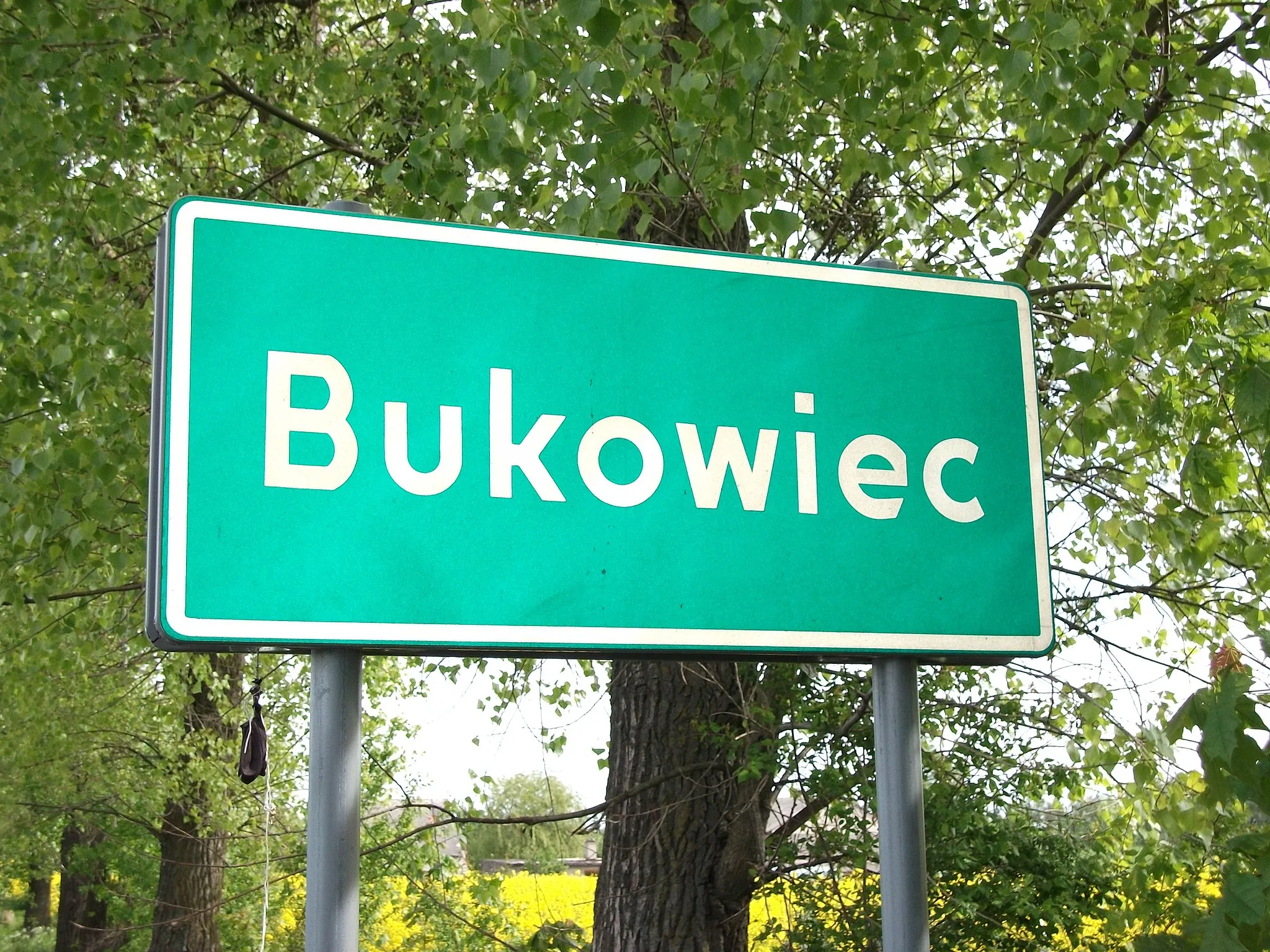 Photo showing: Bukowiec village in Poland