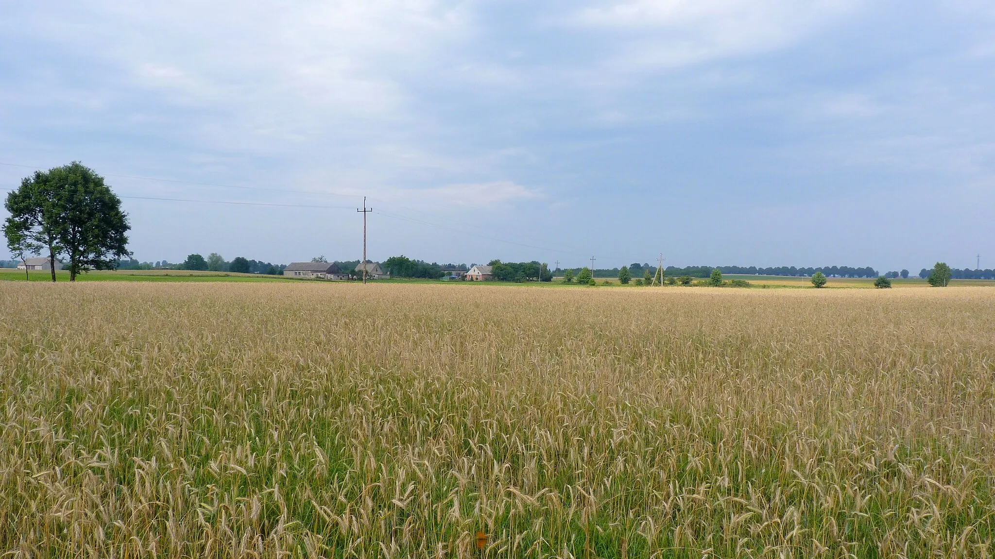 Photo showing: Widok na zabudowania Biechówka