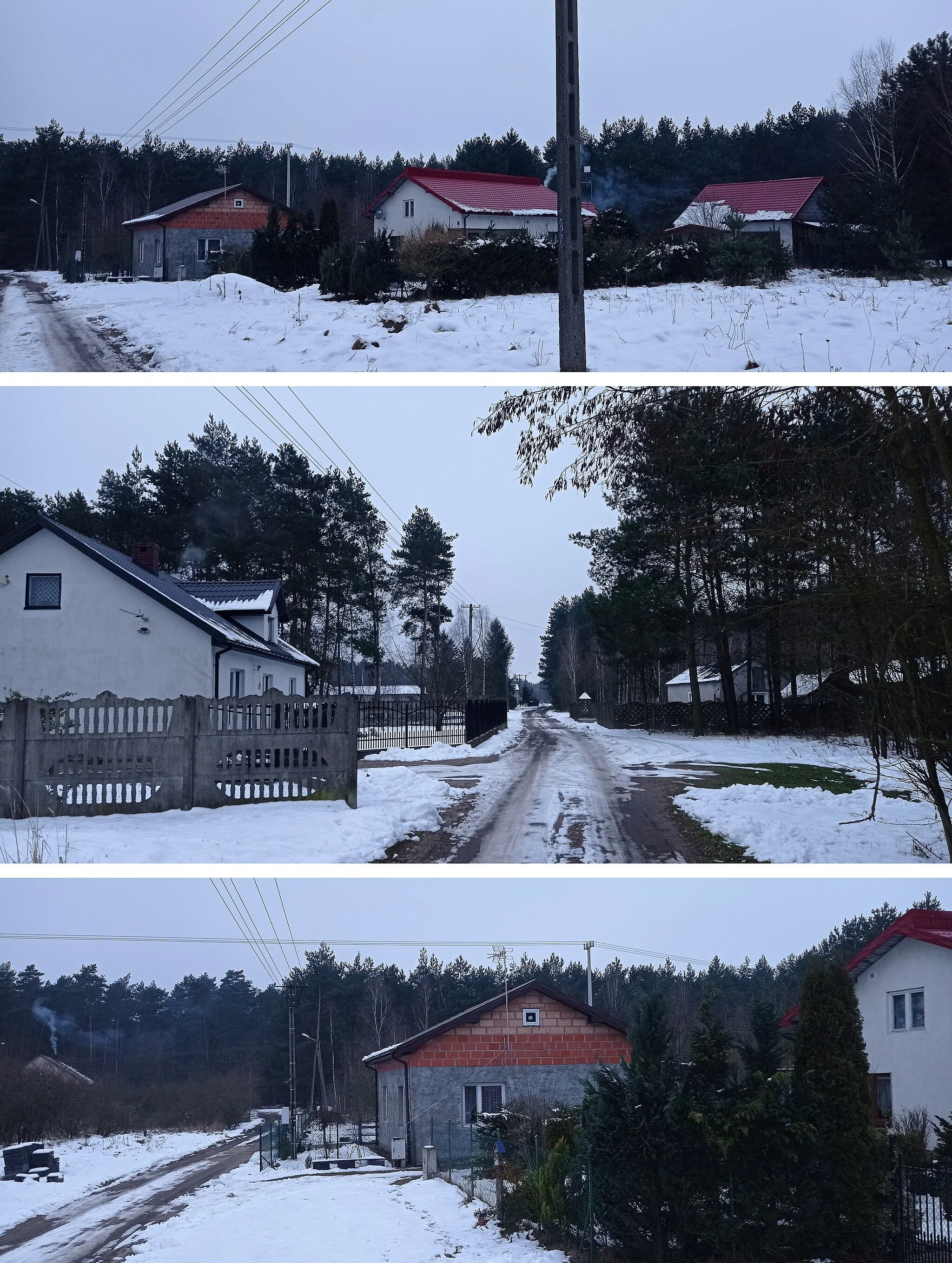 Photo showing: Winter in Nowiny Brdowskie