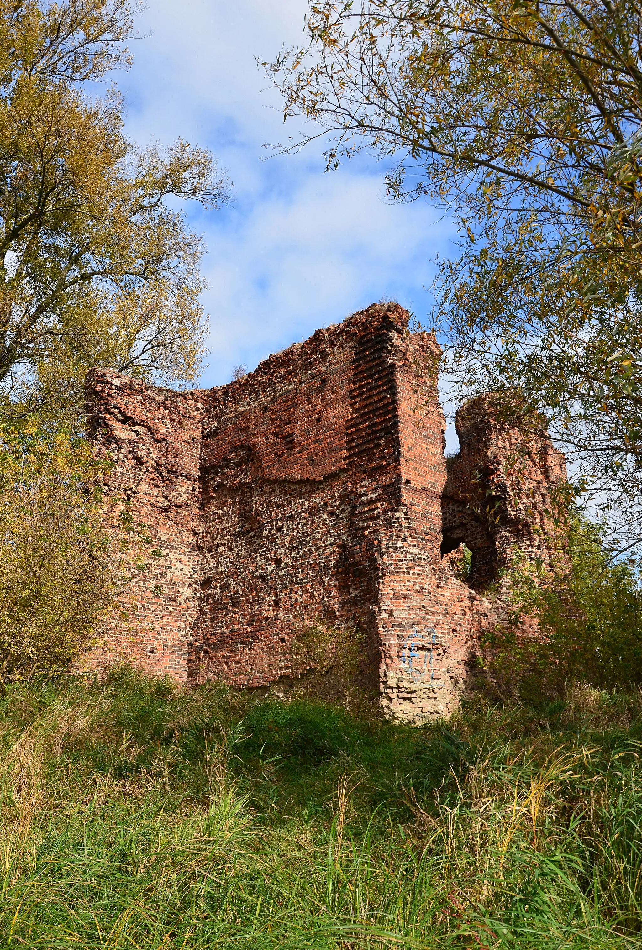 Photo showing: Złotoria, castle ruins