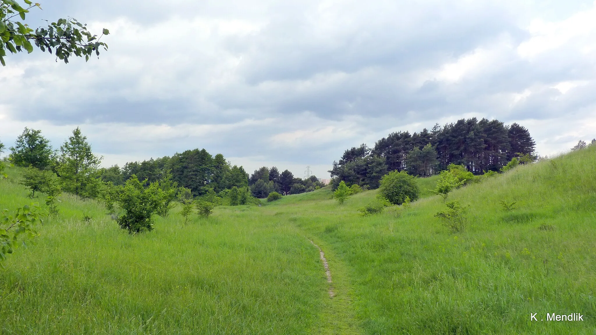 Photo showing: Nowy Fordon okoliczne górki.