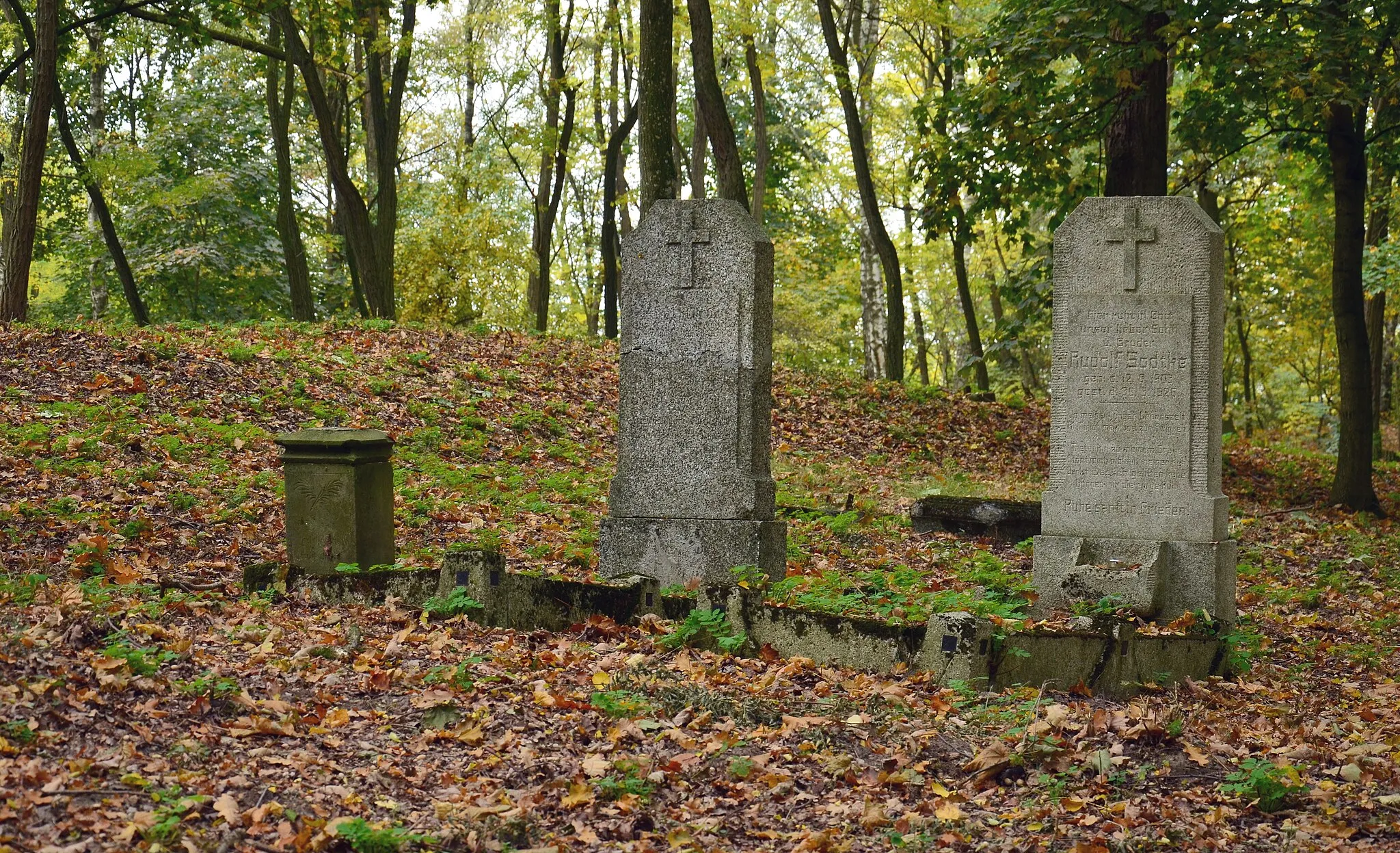 Photo showing: Cmentarz ewangelicko-mennonicki w Silnie