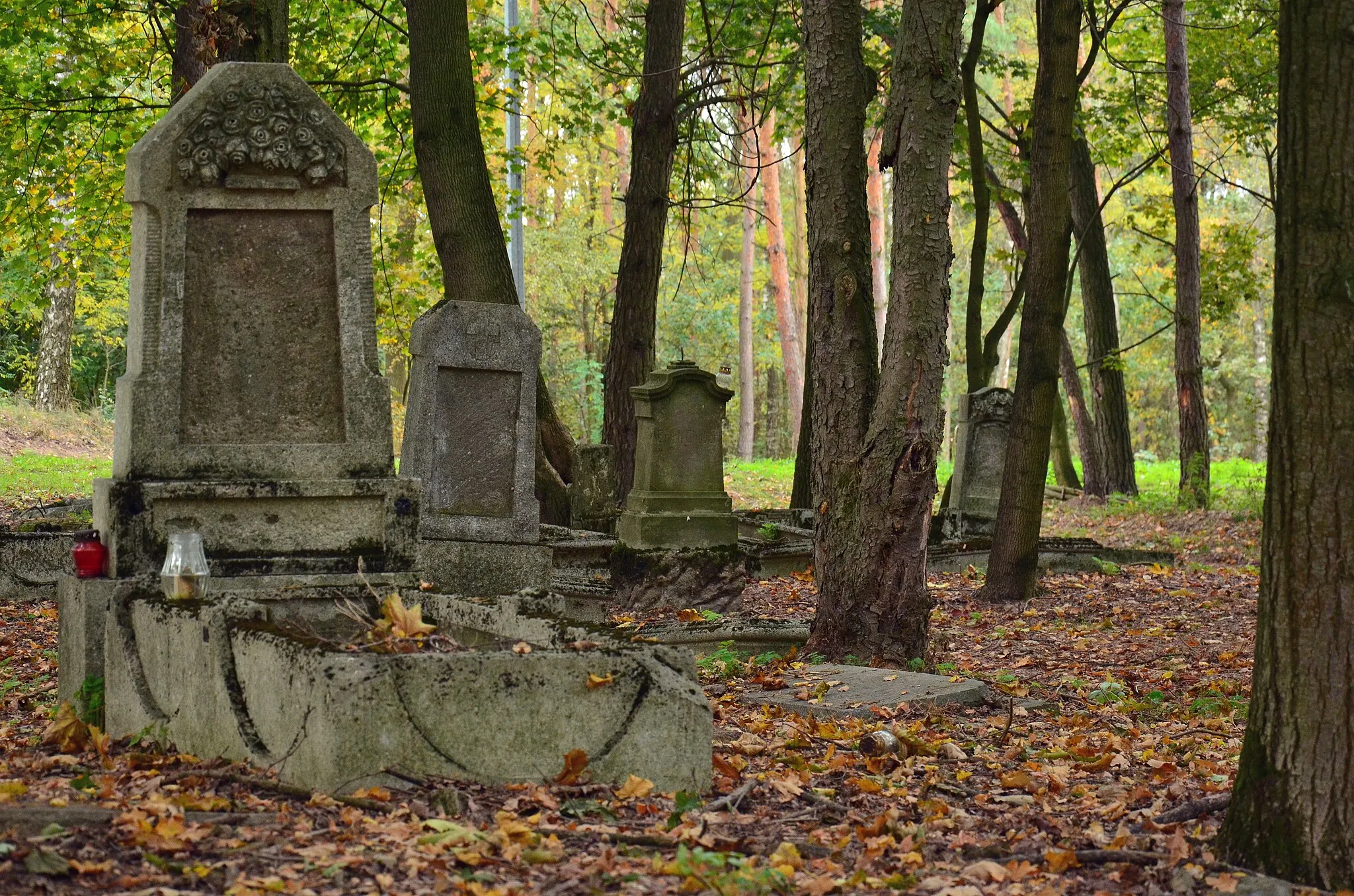 Photo showing: Cmentarz ewangelicko-mennonicki w Silnie