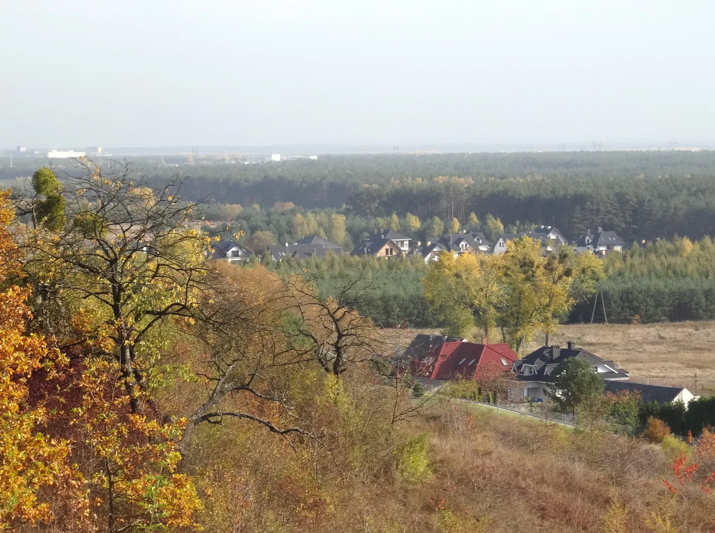 Photo showing: Widok ze Zbocza Fordońskiego w kierunku południowym na Las Gdański