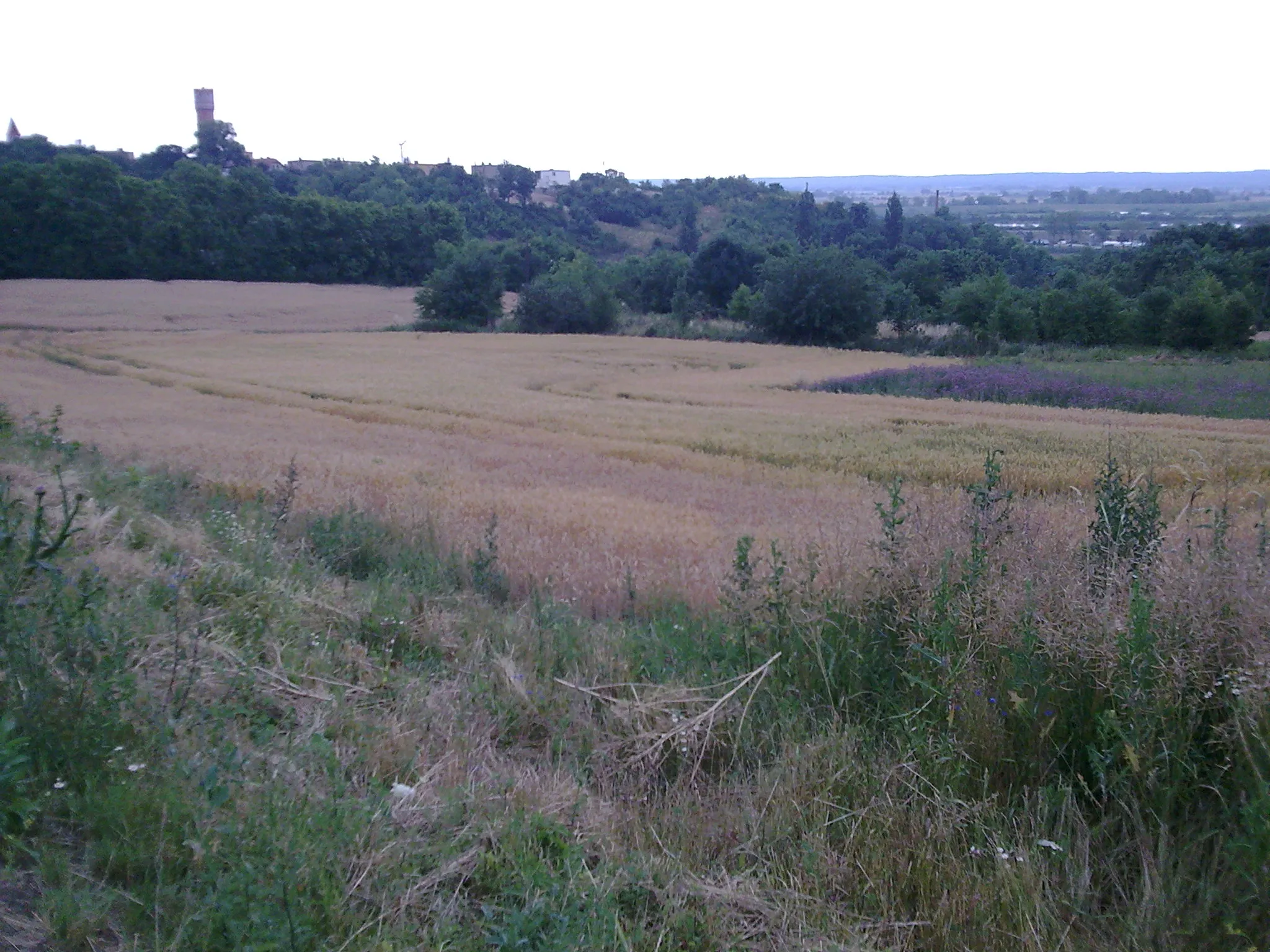 Photo showing: krajobraz miasta Nowe, w oddali wieża