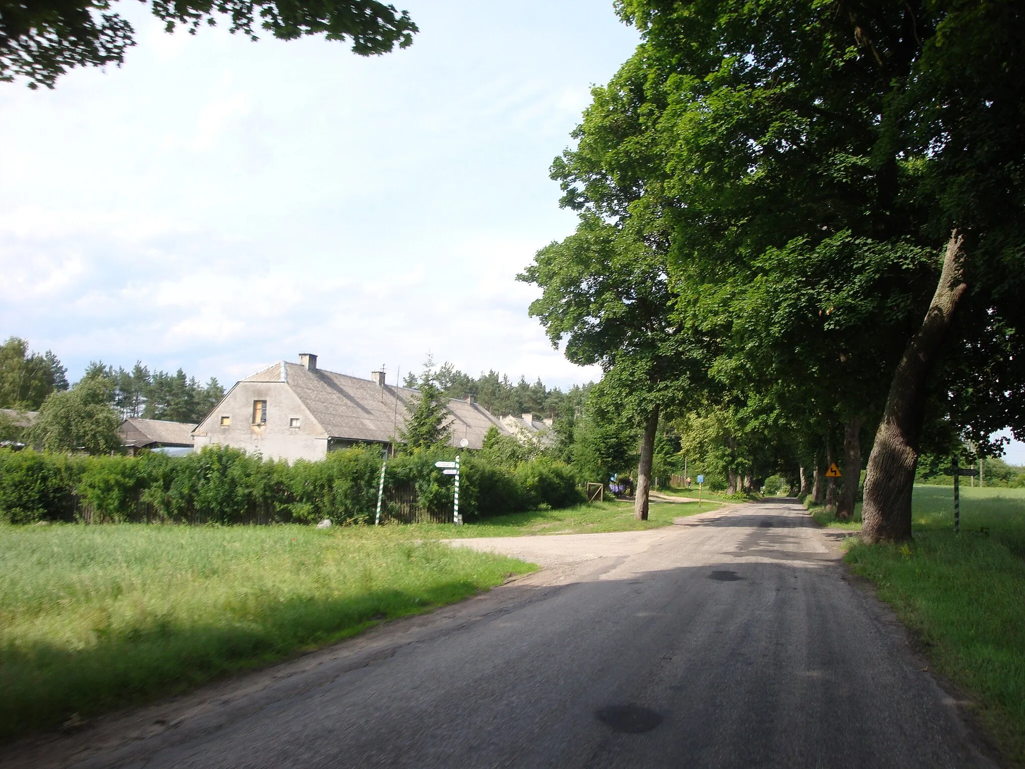 Photo showing: Spławie-village in Poland, Kuyavian-Pomeranian Voivodeship.